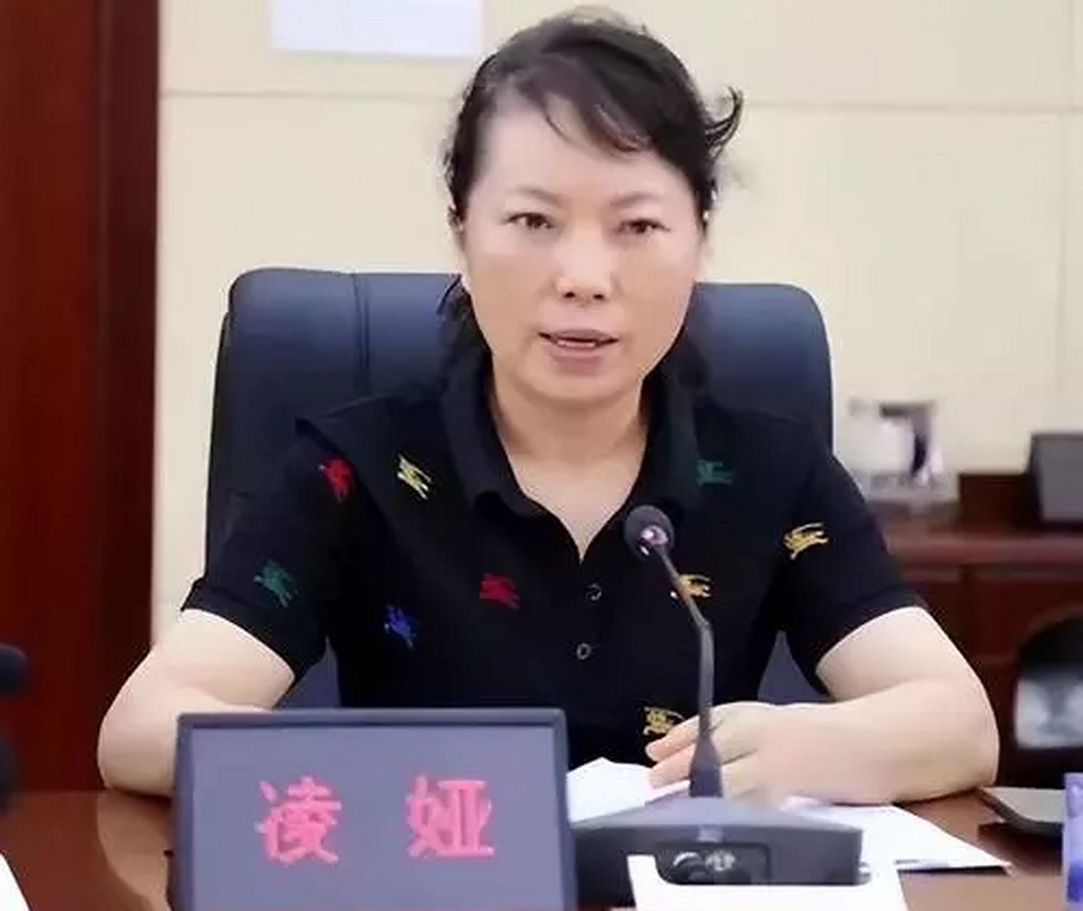 湖南株洲公安原副局长凌娅主动投案背后:被指恐吓举报人并涉吸毒 近日