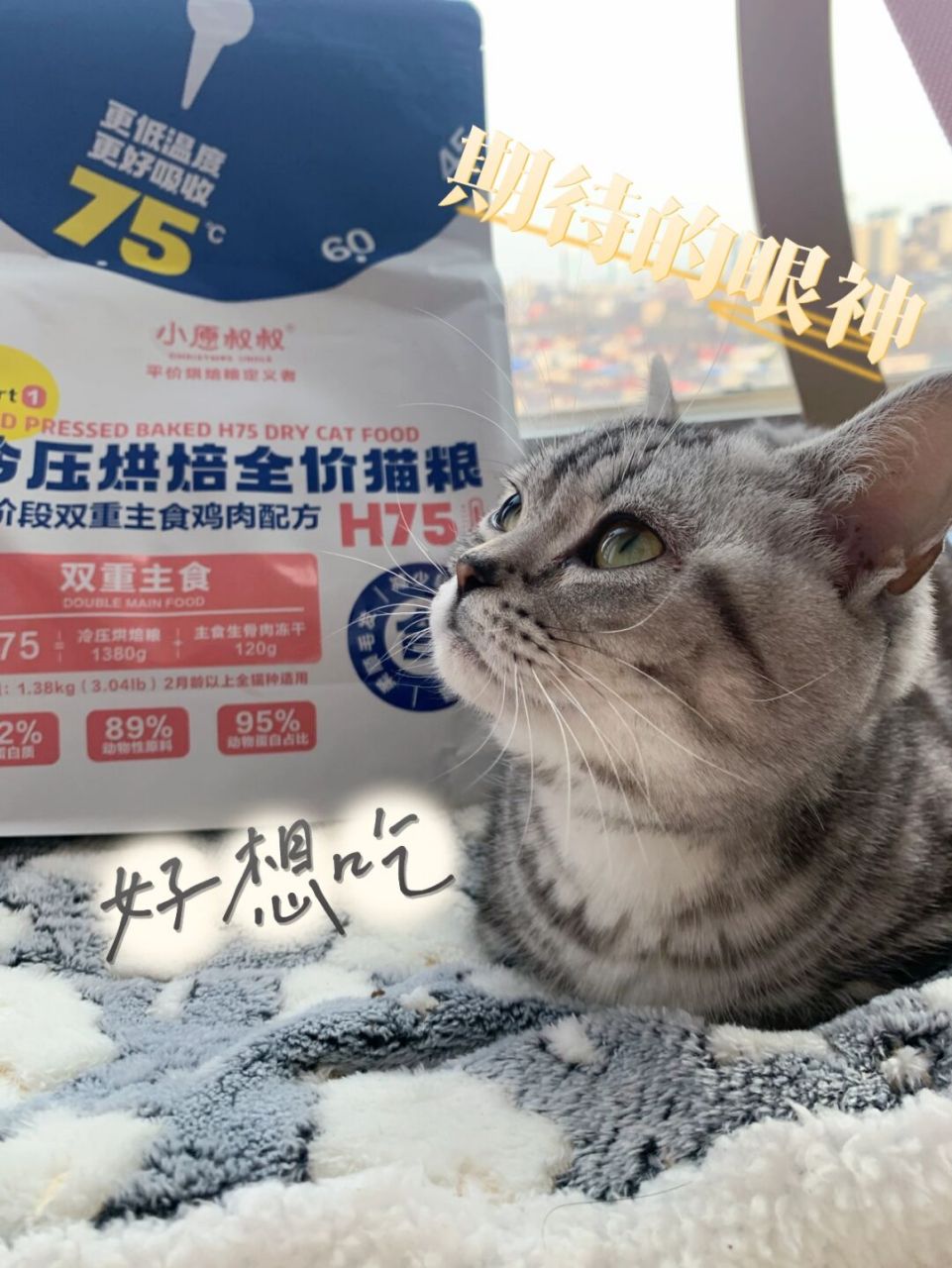 这段时间种草了小愿叔叔家的烘焙猫粮[浮云 烘焙猫粮是在75度的低温