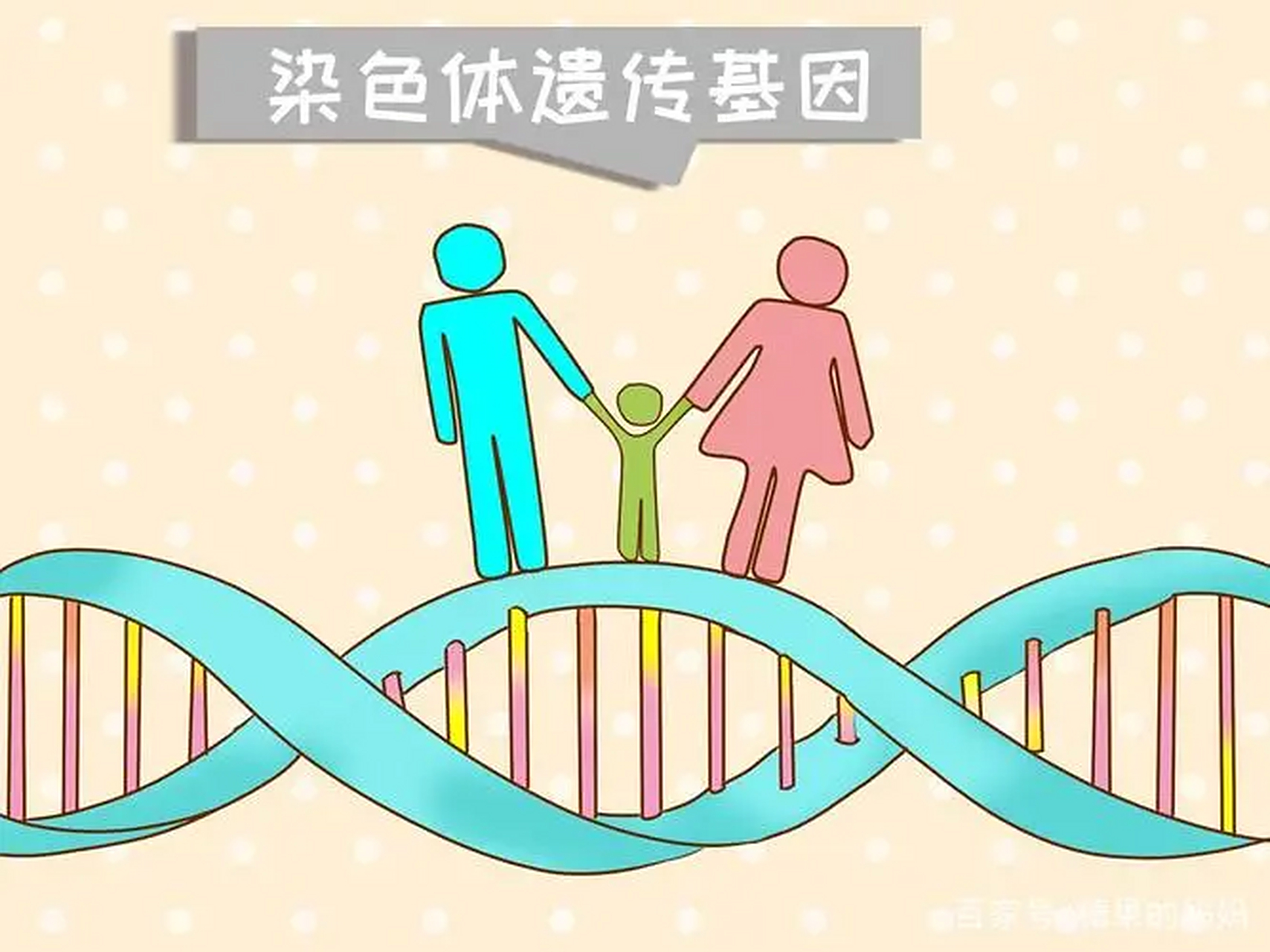 肌营养不良都是母亲遗传的吗?遗传规律知道要趁早!  高铁军医生介绍,