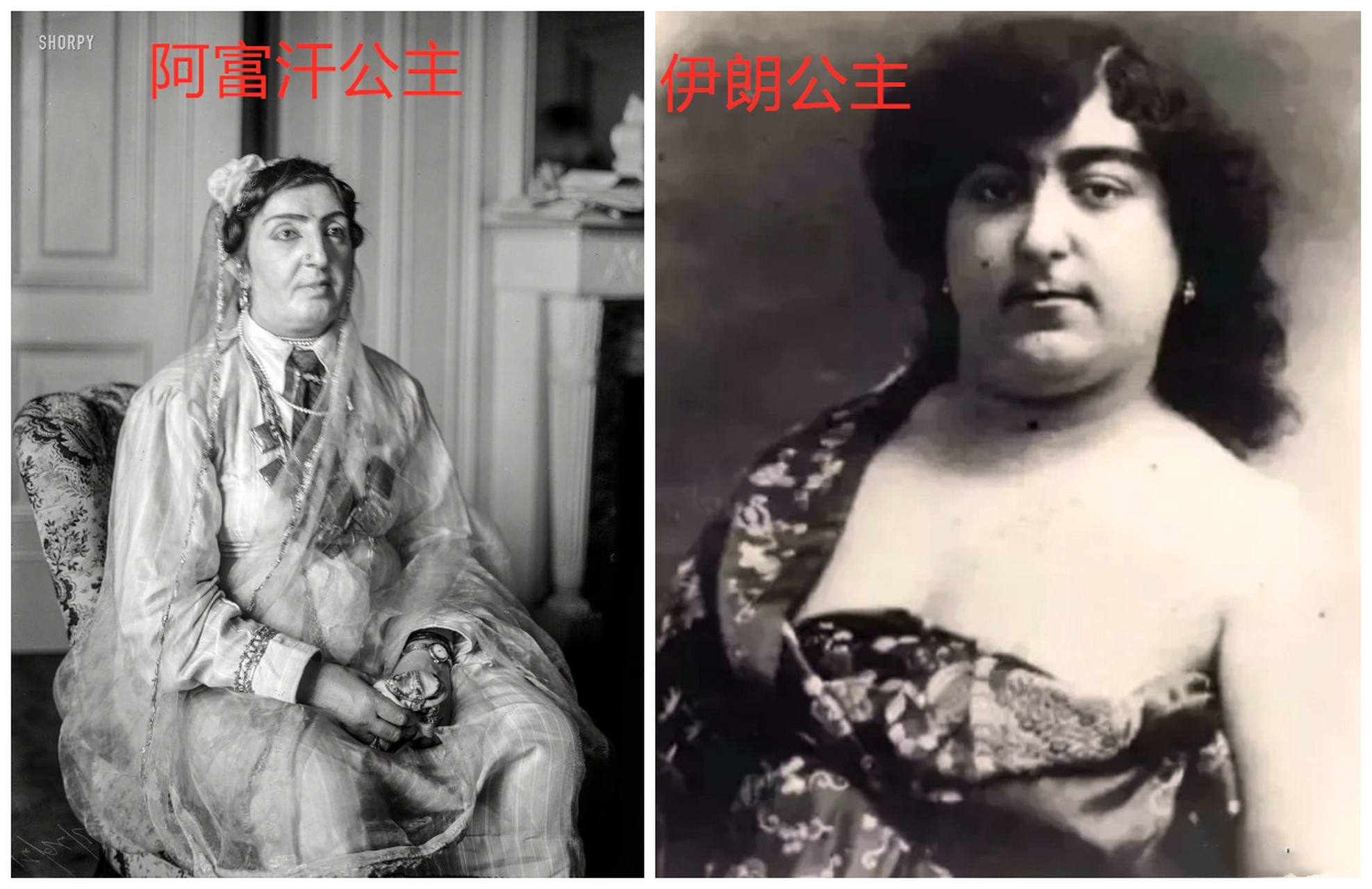 1921年,阿富汗公主法蒂玛-苏丹娜访问美国时.