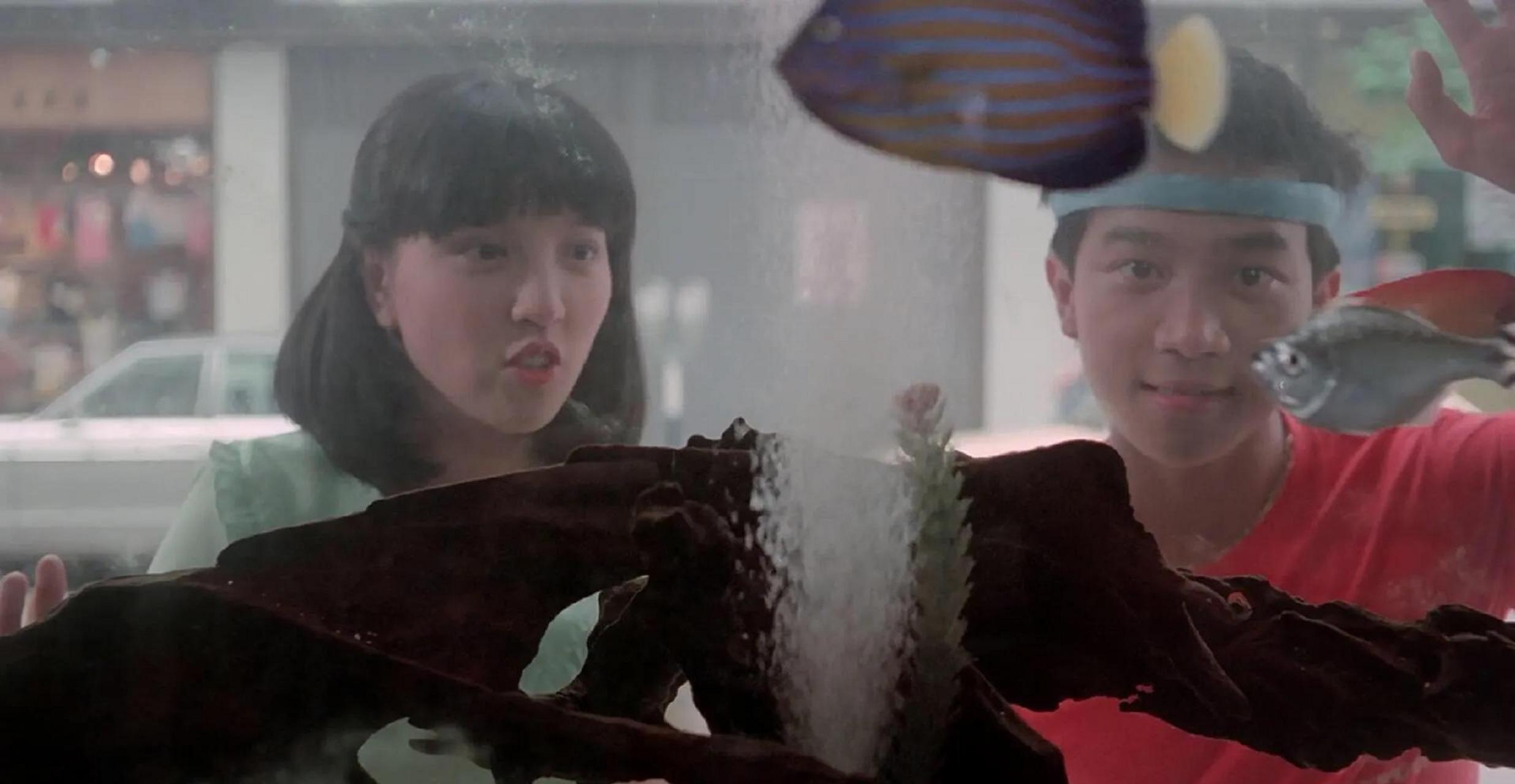 百家号星火计划# 1981年《失业生》主演陈百强和徐杰,青春啊太美毫怂