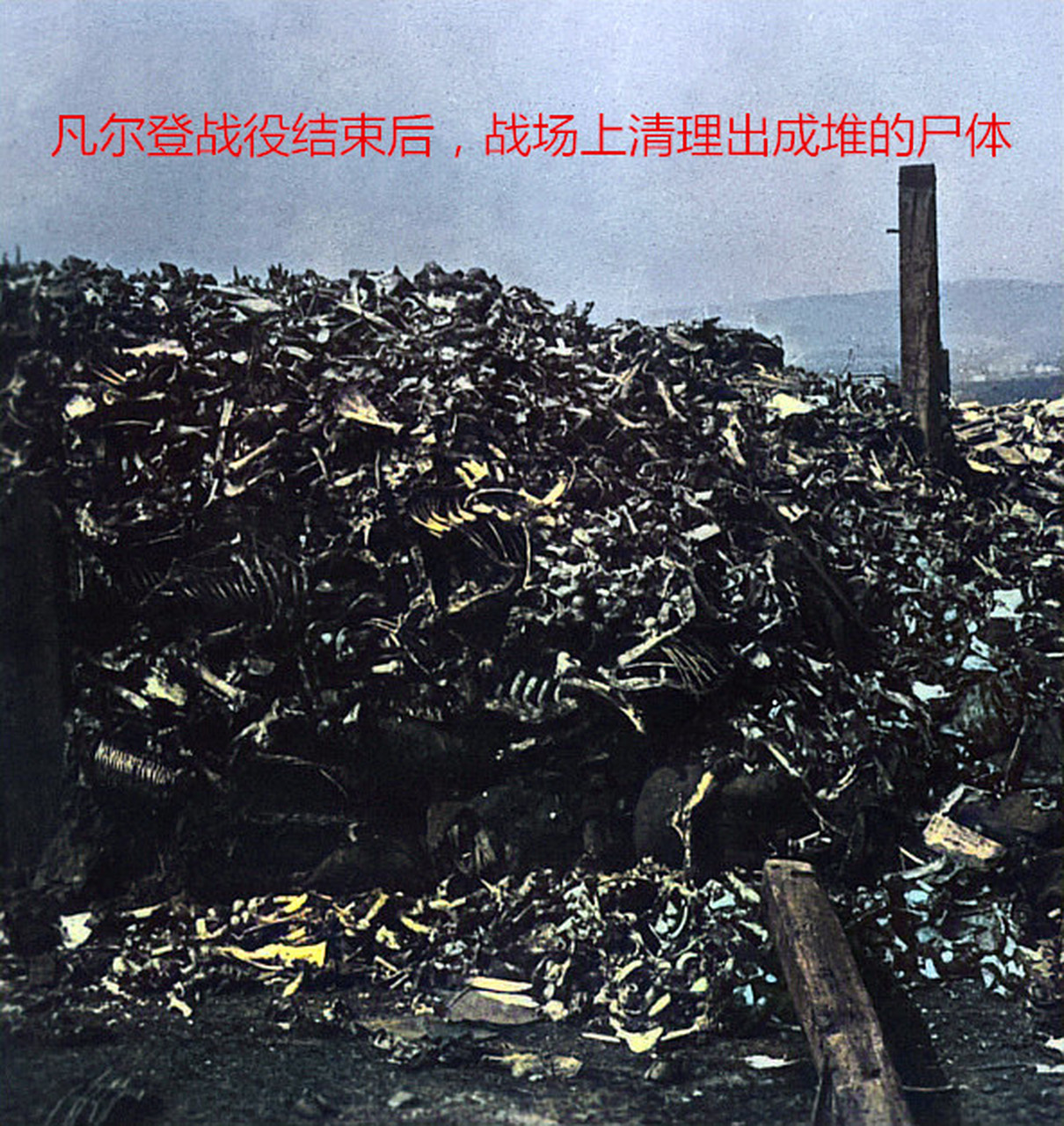 【看了这张图片,才明白为什么叫"凡尔登绞肉机"!