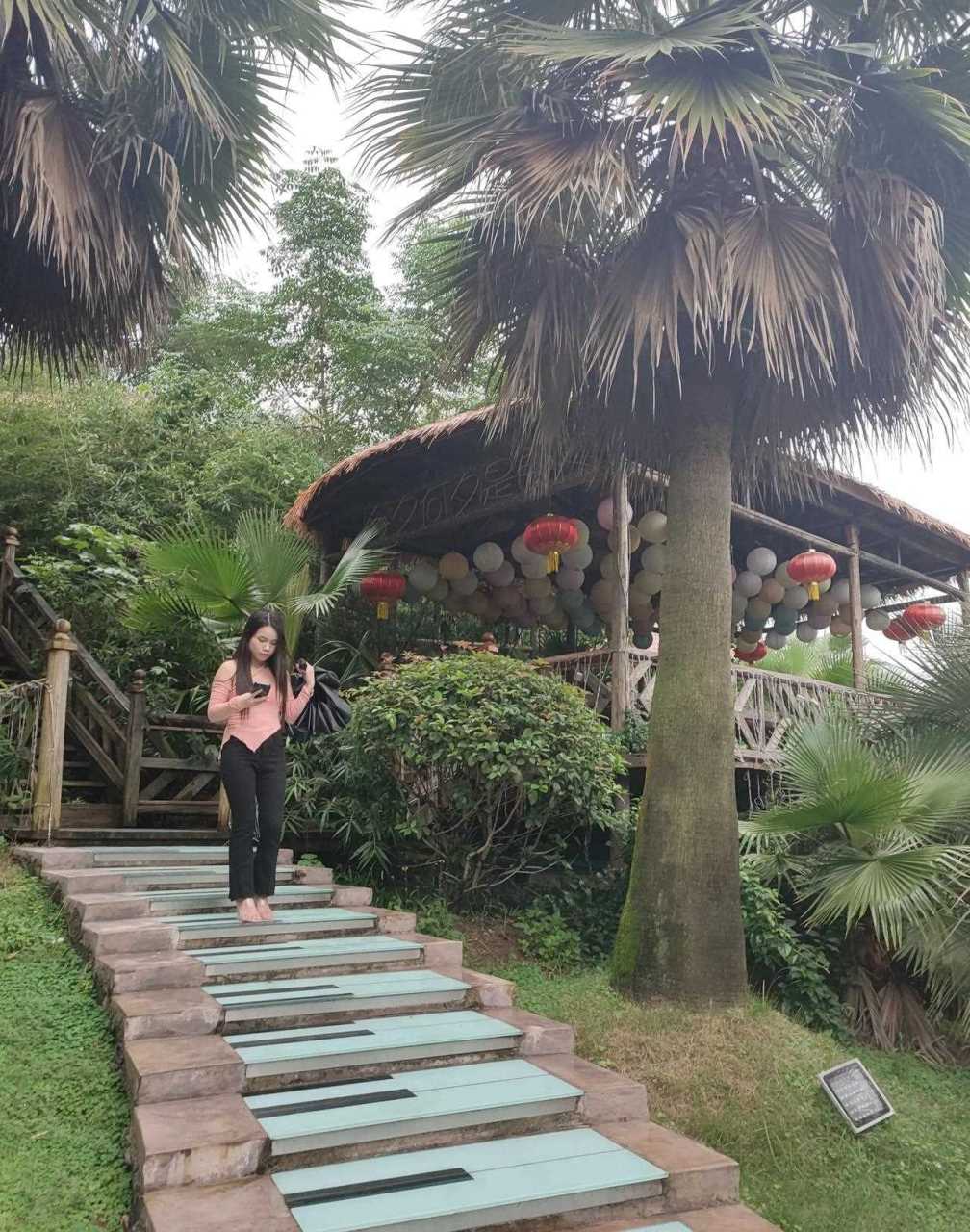 重庆铜梁区奇彩梦园,门票30元,风景不错,花还在栽种阶段,现在去游玩的