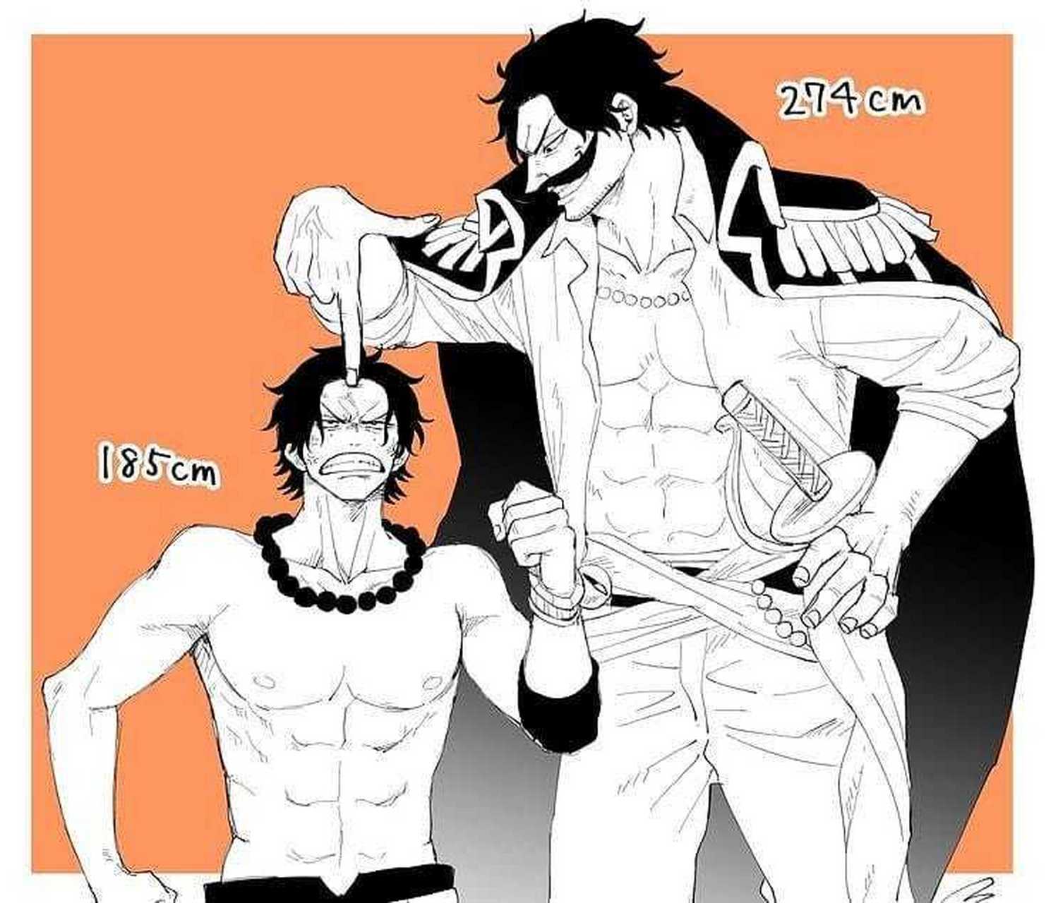 每日打卡# #海贼王# 罗杰艾斯父子俩的身高对比!艾斯随了谁?