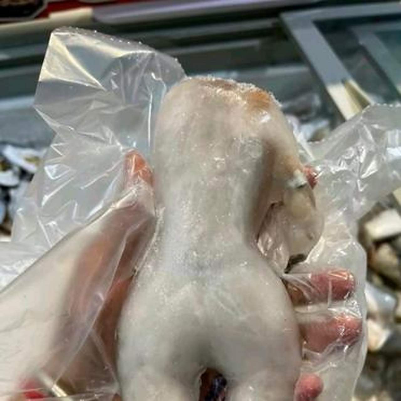 牛蛙为什么叫牛蛙