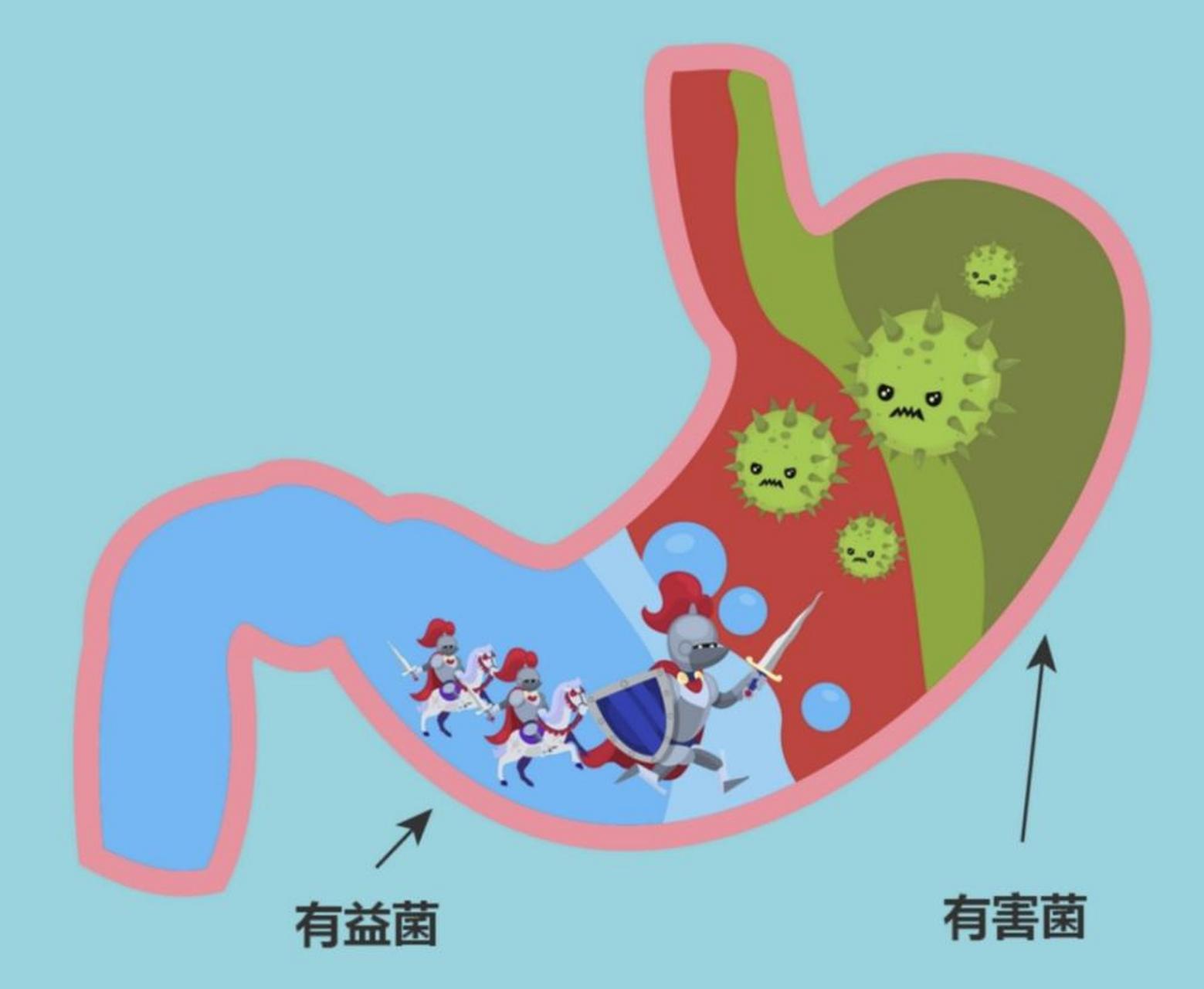 肿瘤pk肠道菌群 一般肠道菌群失衡和肿瘤发生是有关系的.