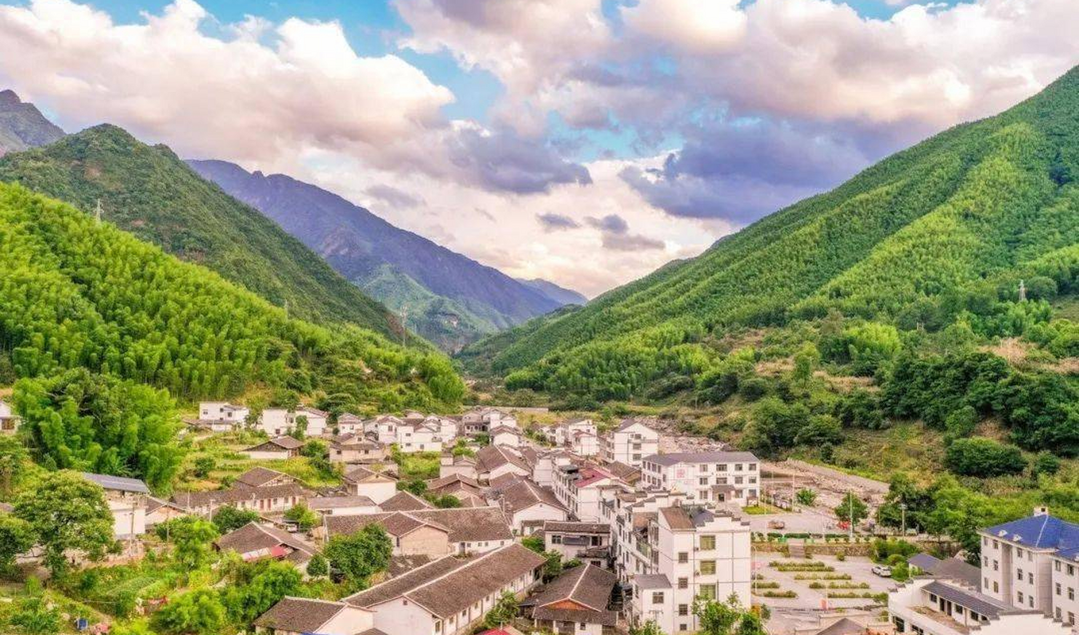 11月4日至5日,福建省武夷山市桐木村进行了一年一度的武夷山星村镇