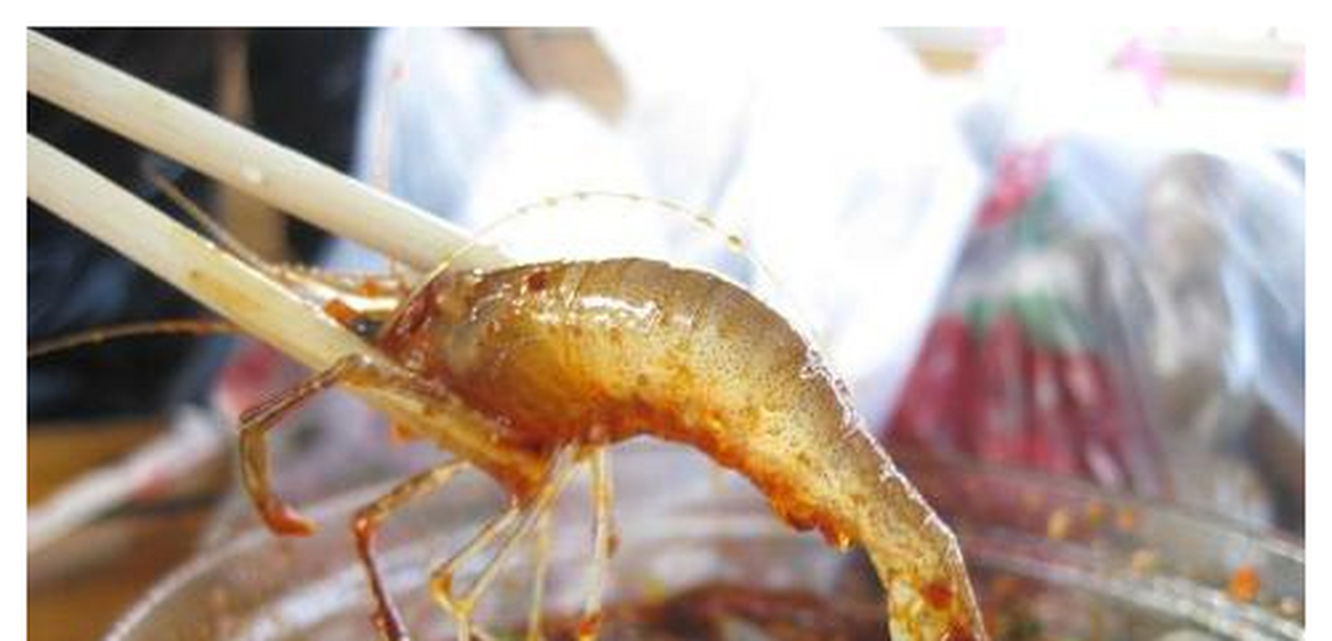 第一个是铁板甲鱼,其实甲鱼汤在我们南方地区是非常有名的一种美食,吃