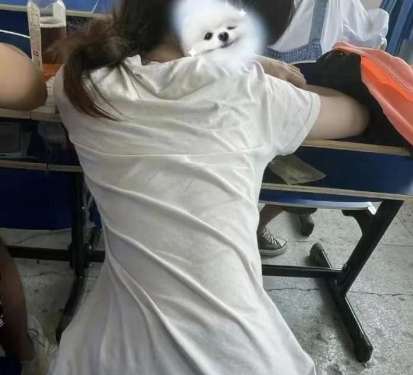 女同桌都睡了一天了,我应该叫醒她吗?