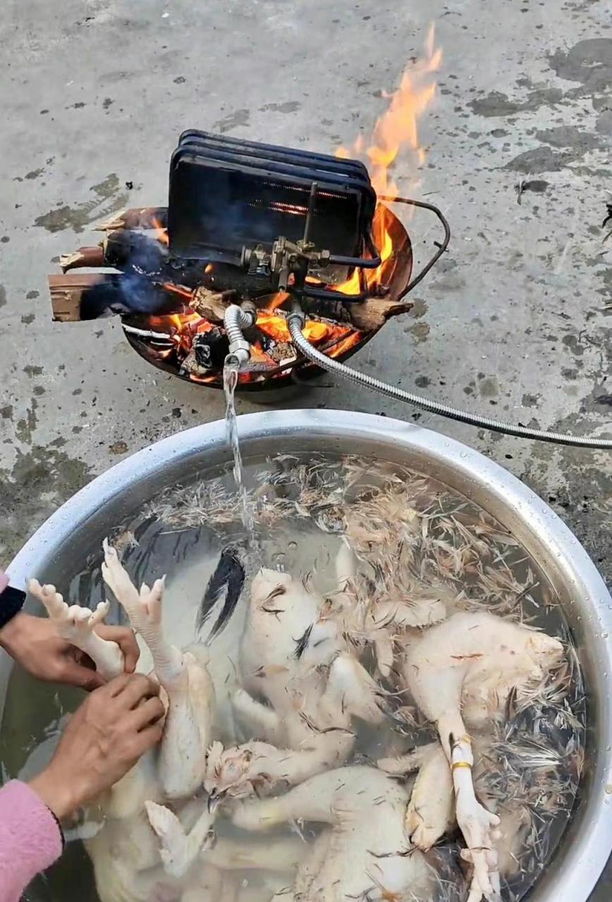 网友:第一次见到用柴火来加热的热水器,不知道这效果怎么样?