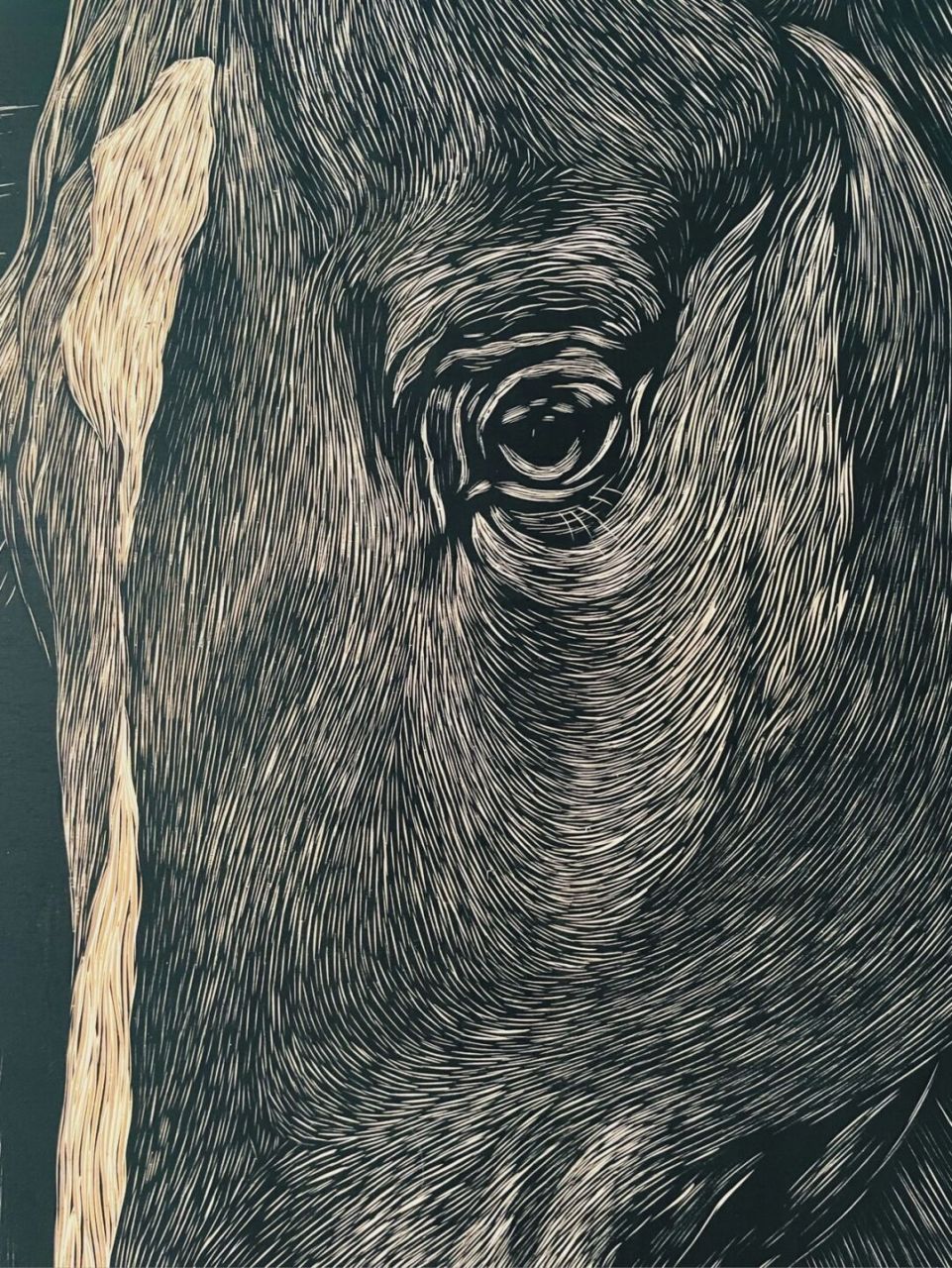 手工雕刻黑白木刻版画·马 尺寸:90*60cm 材质:木板 手工雕刻制作