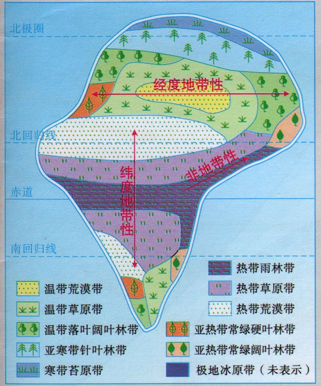 带状分布图片