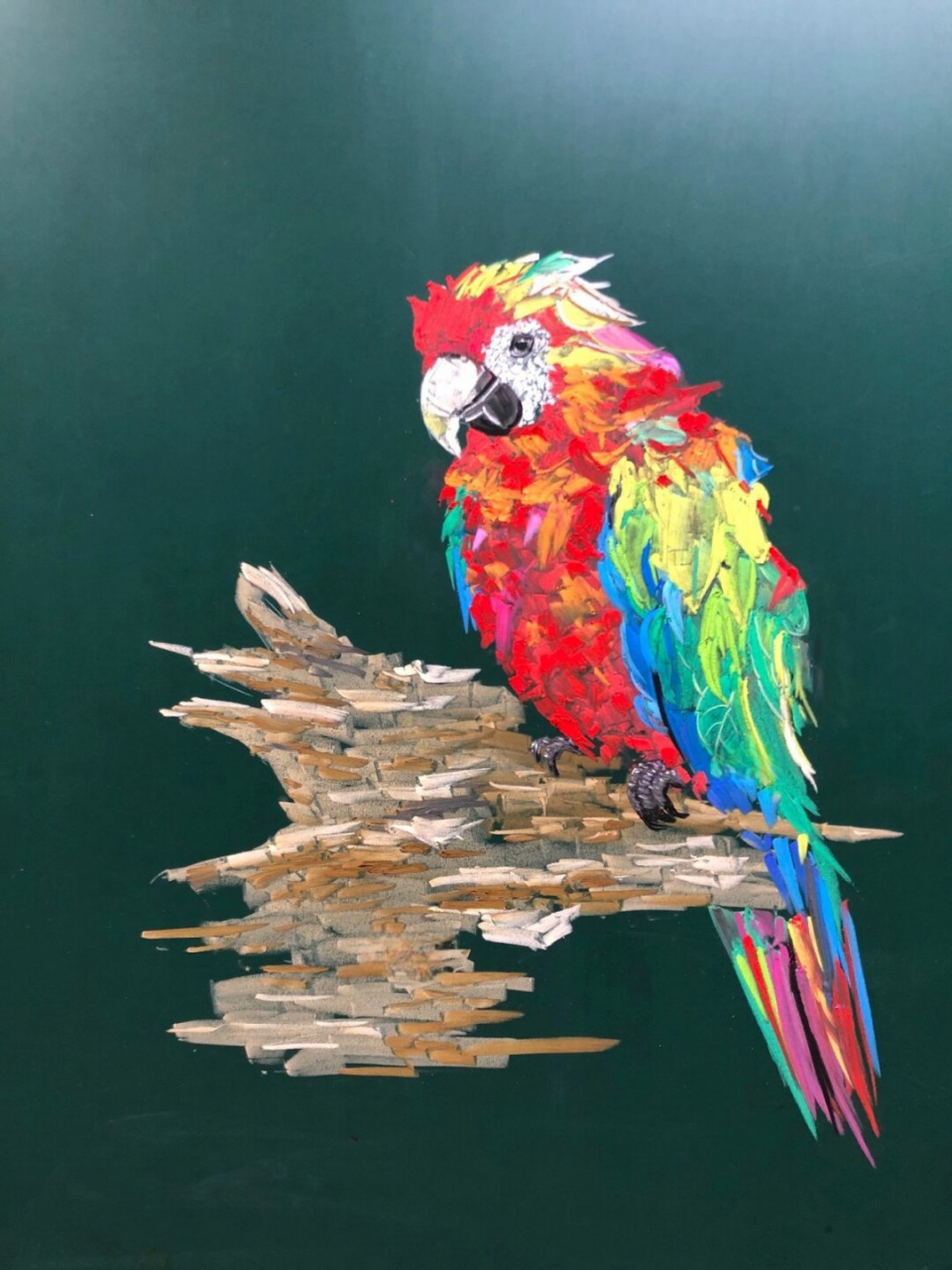 粉笔画一黑板报插图(鹦鹉)  像水粉画一样,太好看了
