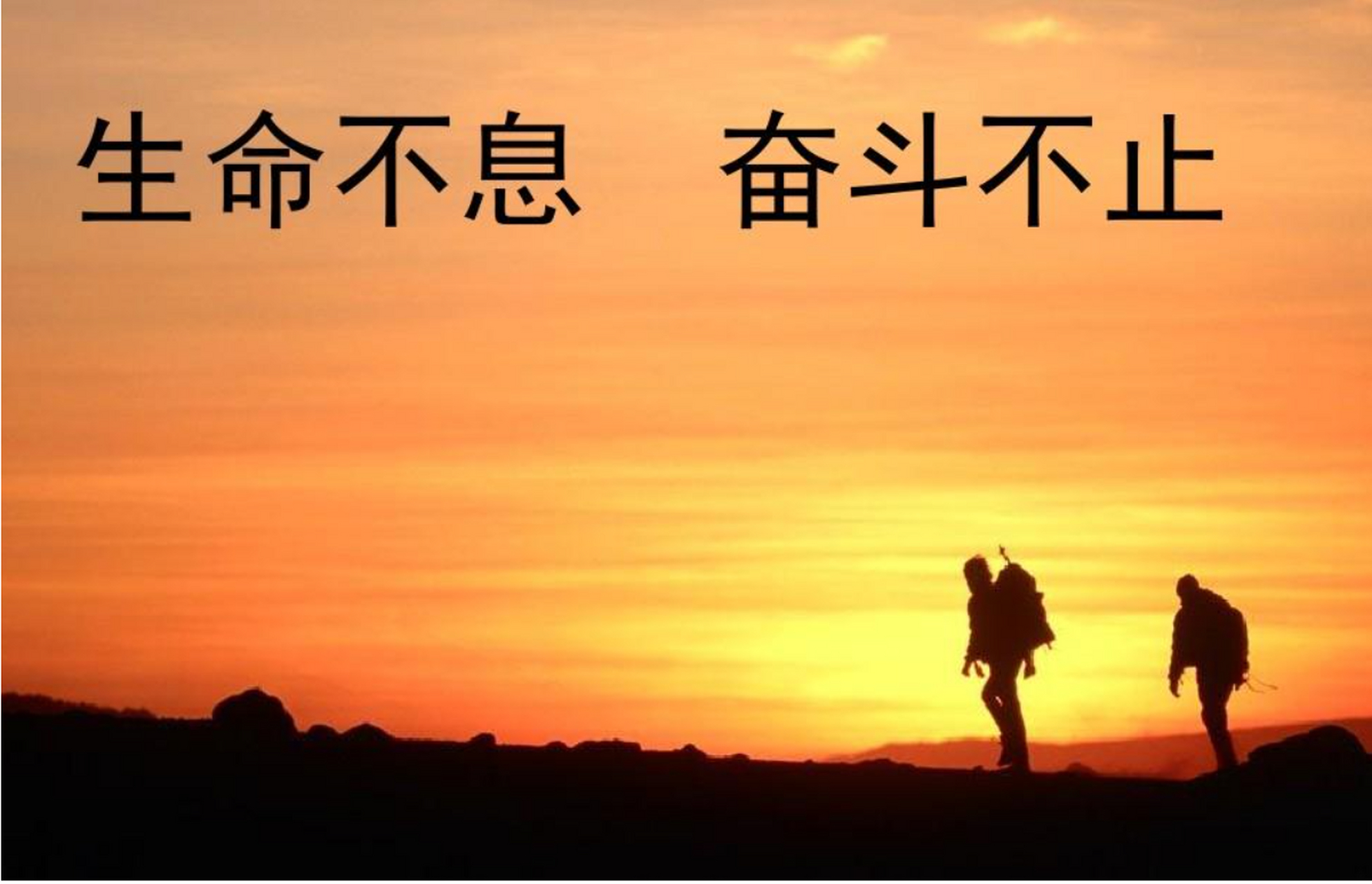 英语每日一句# 生命不息,奋斗不止 | cease to struggle and you