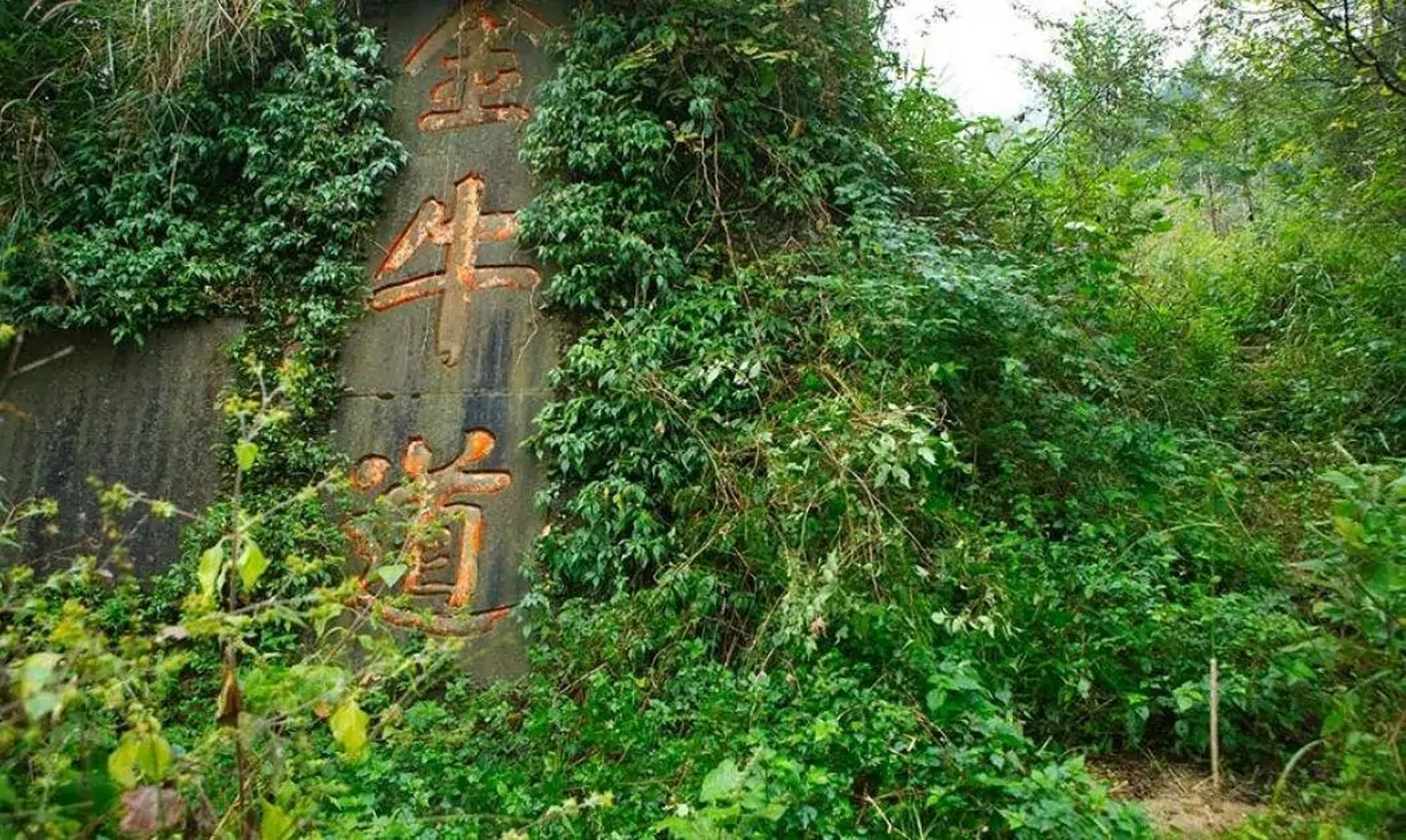 秦惠王时期,四川地区有巴国,蜀国和苴国三个国家