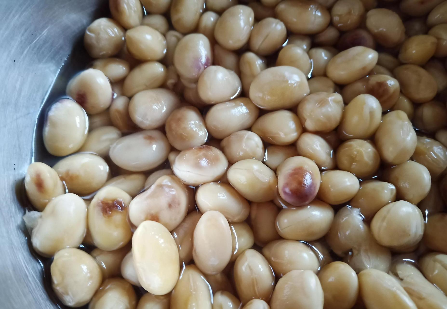 早上,我告诉队友(老公),黄豆发霉了,坏掉了