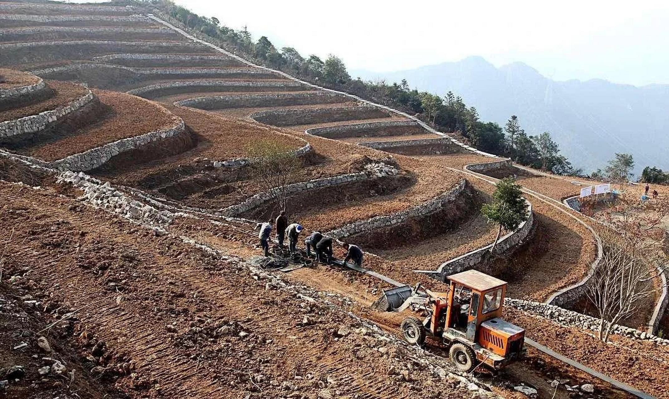 这几天看到很多喷退林还耕开拓土地的,包括梯田不实用的言论,你们干啥