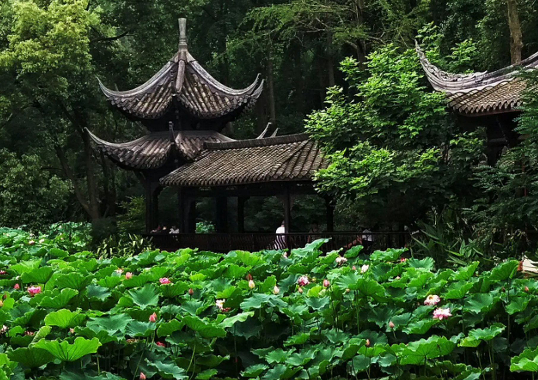 水天花月景区,位于四川省眉山市东坡区眉山岷江大桥(泡菜博物馆附近).