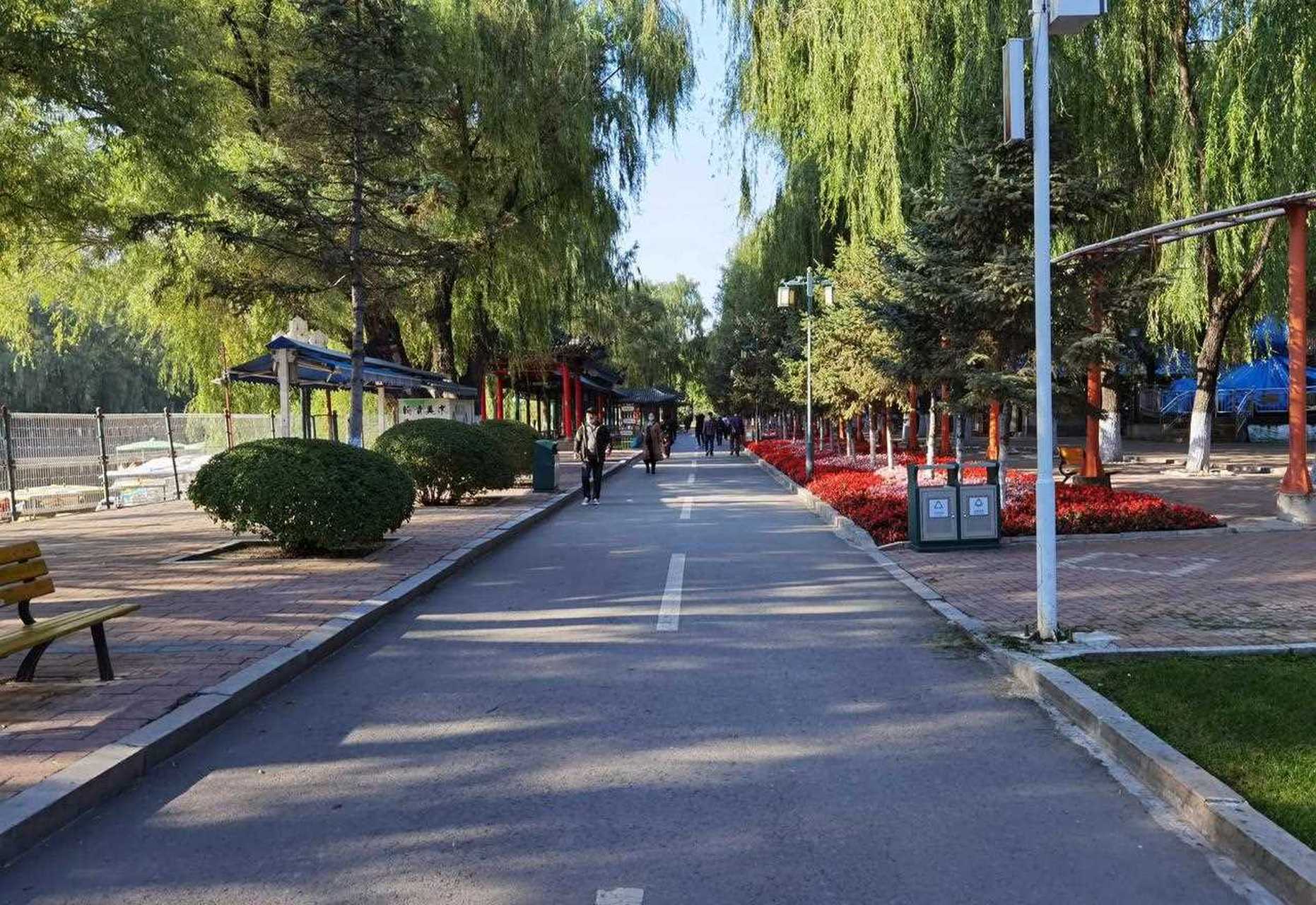 《晨光中的会宁公园风光秀丽》 会宁公园是阿城区最热闹,风景最好的