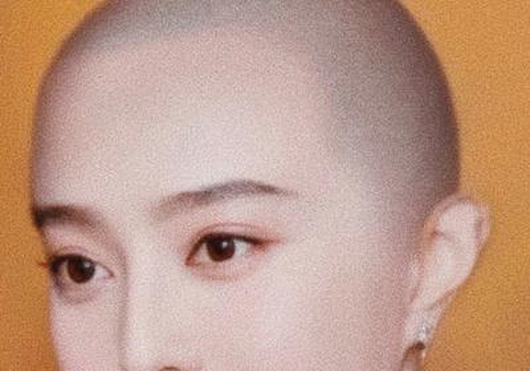 范冰冰"剃光头"配半透视黑衣凹造型!