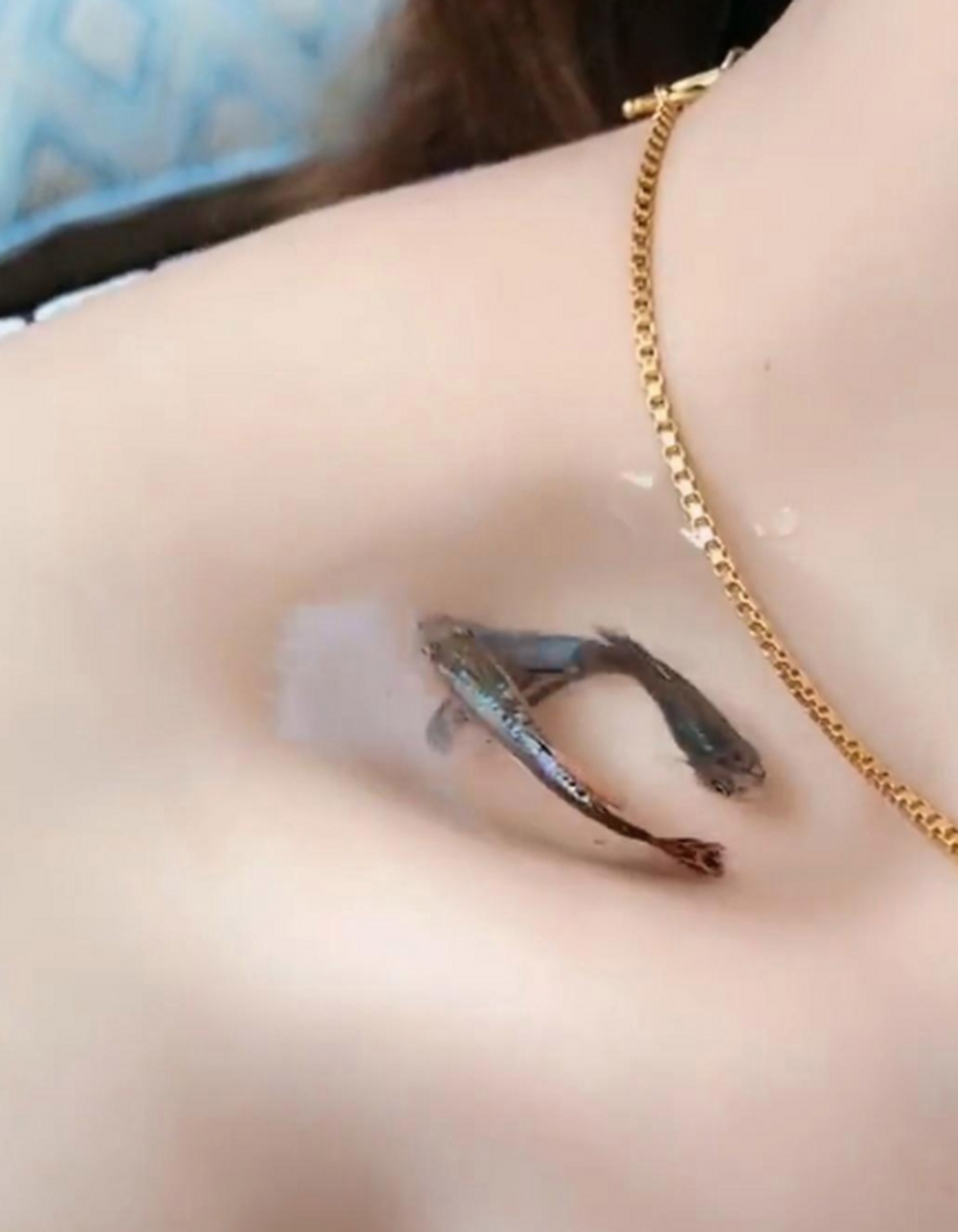 一起挑战锁骨养鱼