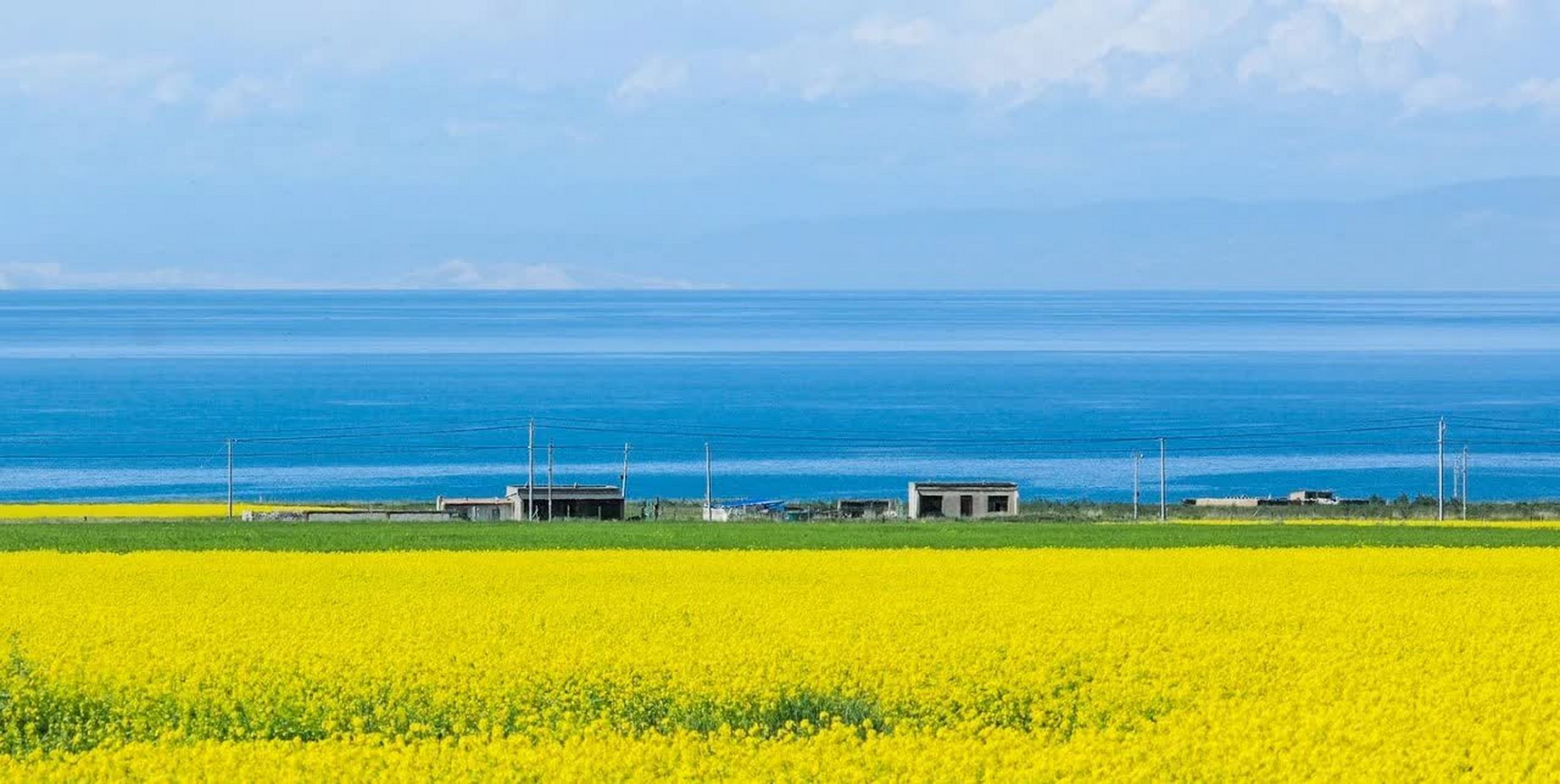 青海的油菜花海,在高原湖畔的蓝天下,无论远近都是一道美丽的风景.