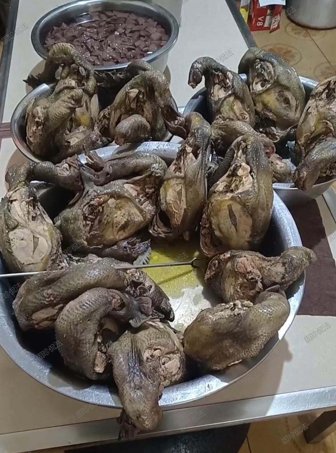 这只黑鸡是不是特别有营养呢?兄dei是不是可以长命百岁啦?