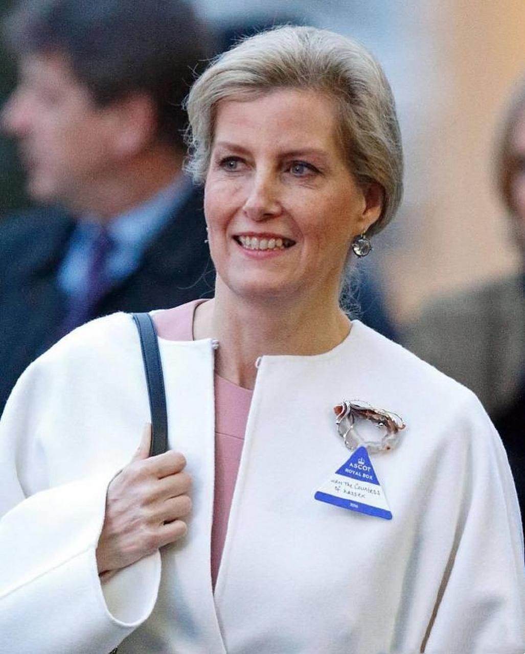 英国爱丁堡公爵夫人苏菲的玛瑙胸针,是2015年,爱丁堡公爵夫妇访问捷克