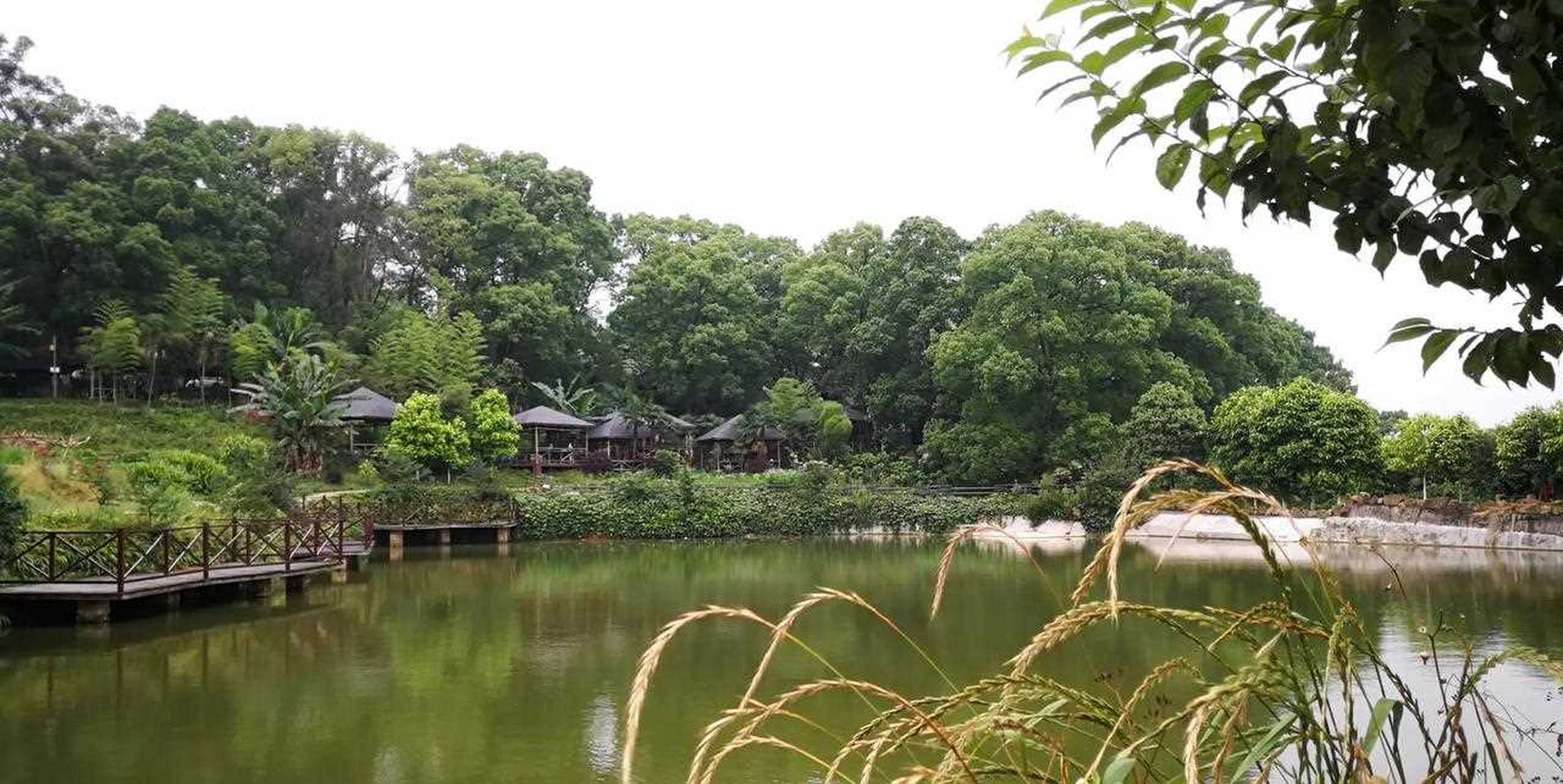 北碚西山坪苓茏苑景区图片