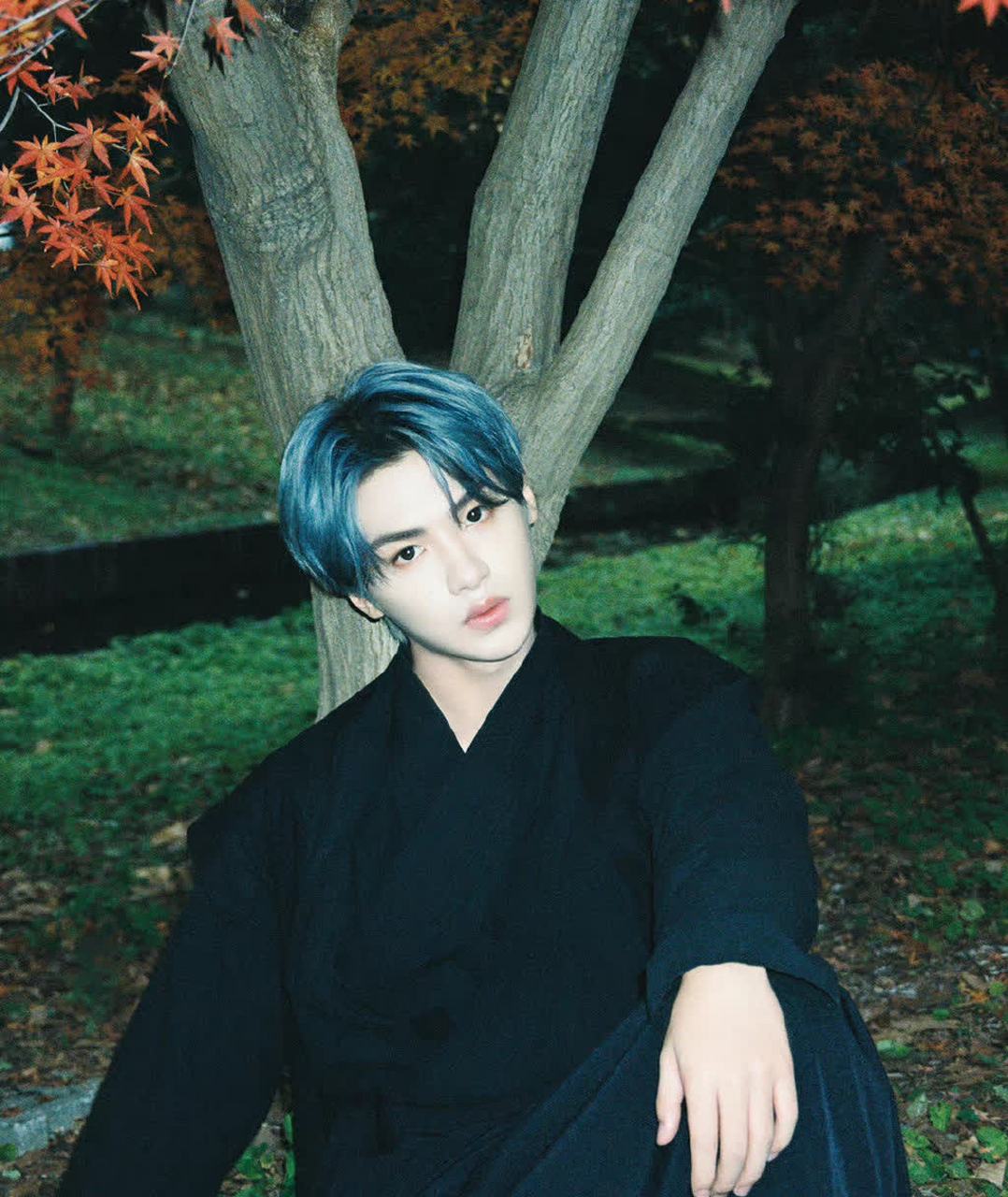 黄明昊一身古黑长袍,深蓝色的头发,在红枫的衬托下显得格外抢眼,仿佛