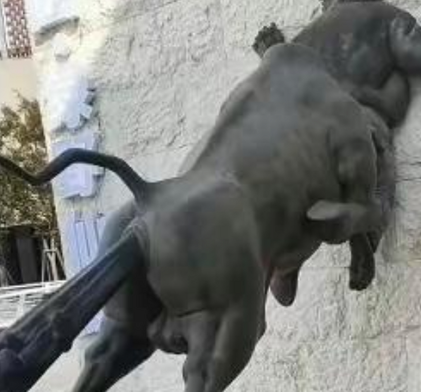 牛屁股后面是什么意思?