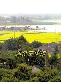 遇见王场镇:成都周边特色小镇游        王场镇,隶属于四川省崇州市