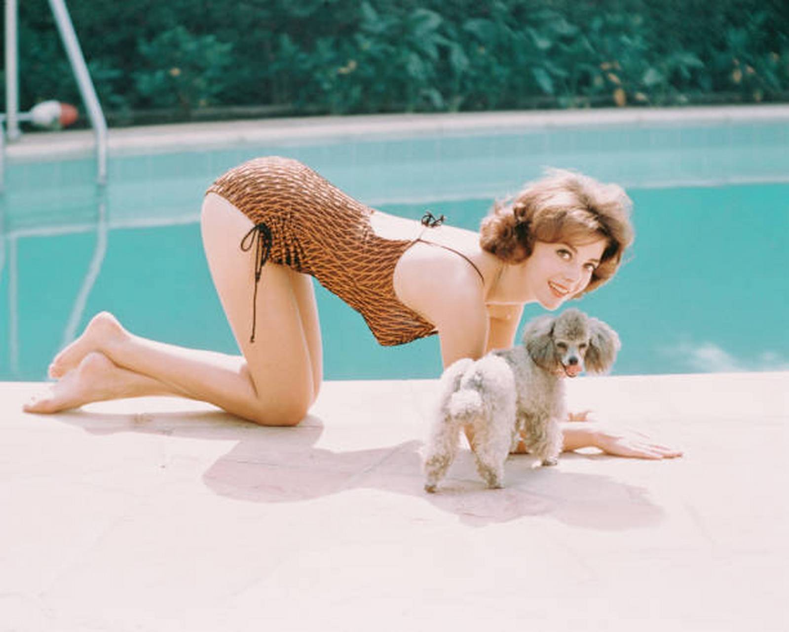 1970年代,美国电影女星娜塔莉·伍德在泳池边模仿贵宾犬