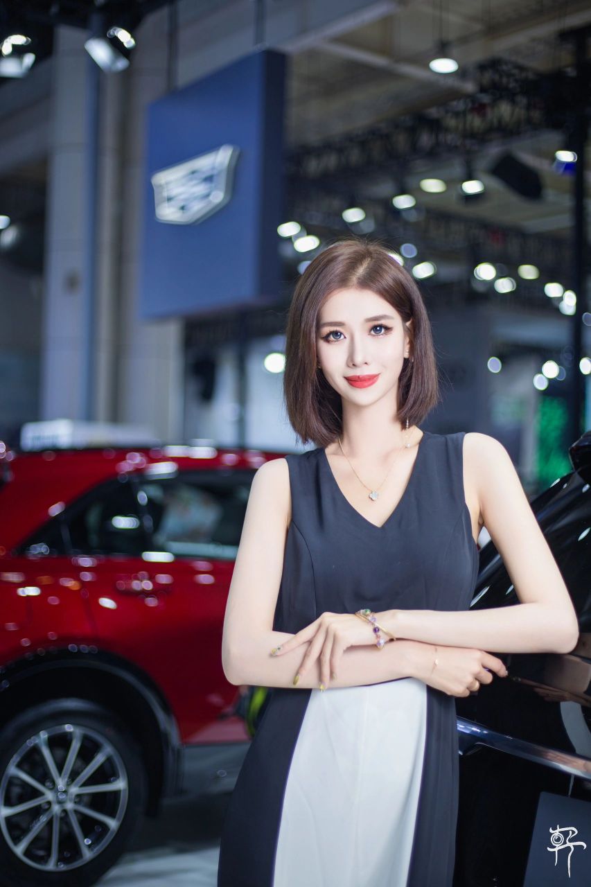 大连车展    15 2023(第二十八届)大连国际汽车展览会