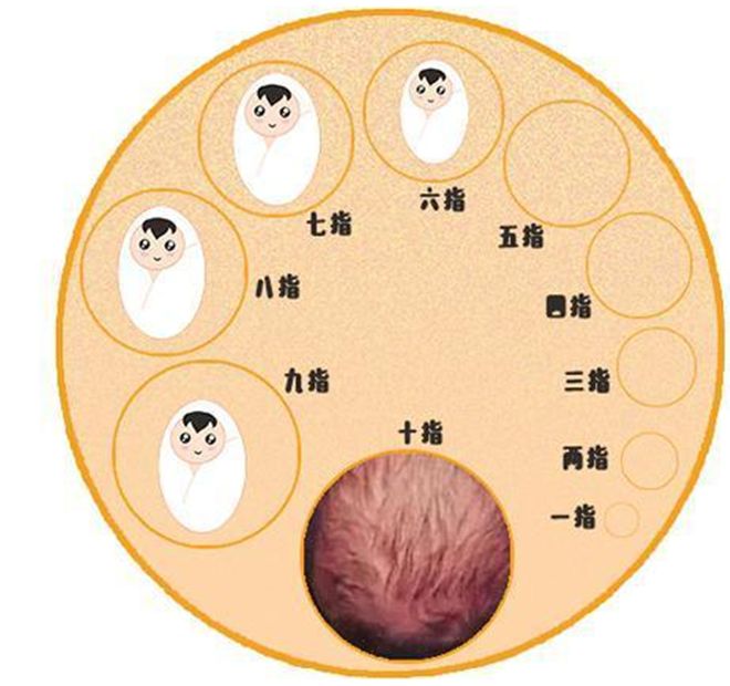 顺产宫颈撕裂图片