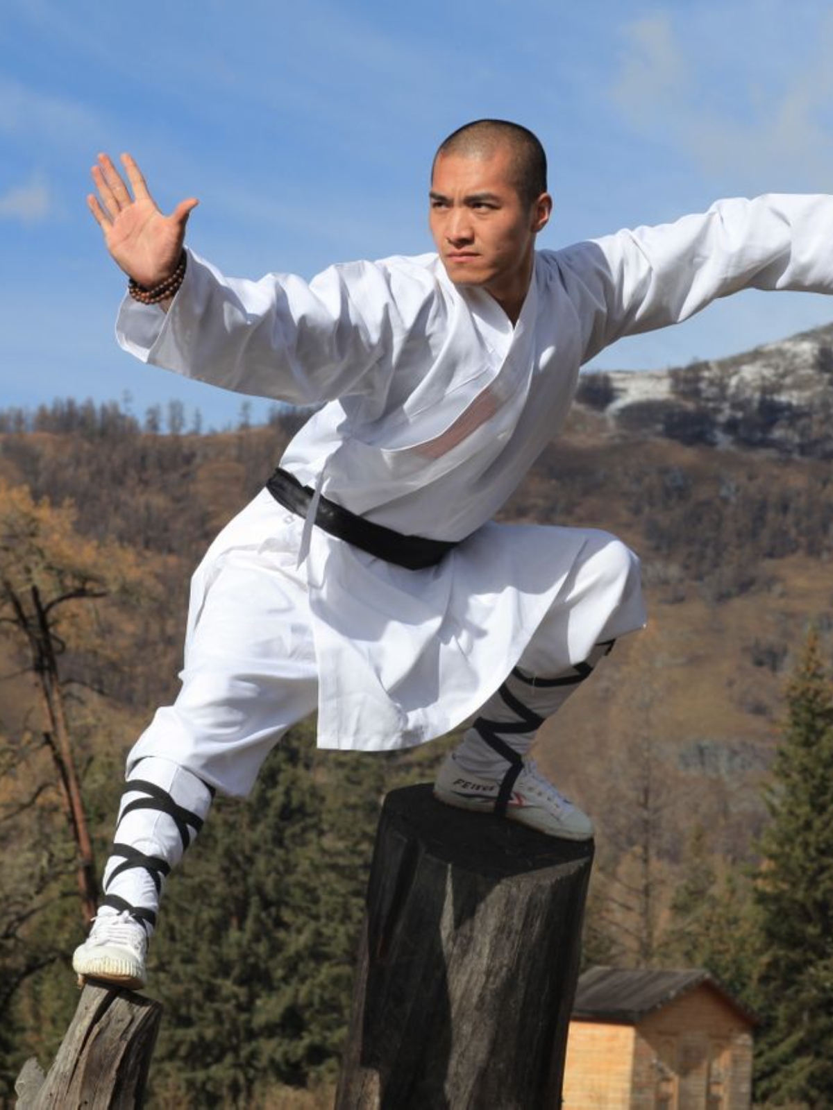 中国武术,弘扬自强不息的精神力量,你又了解多少?