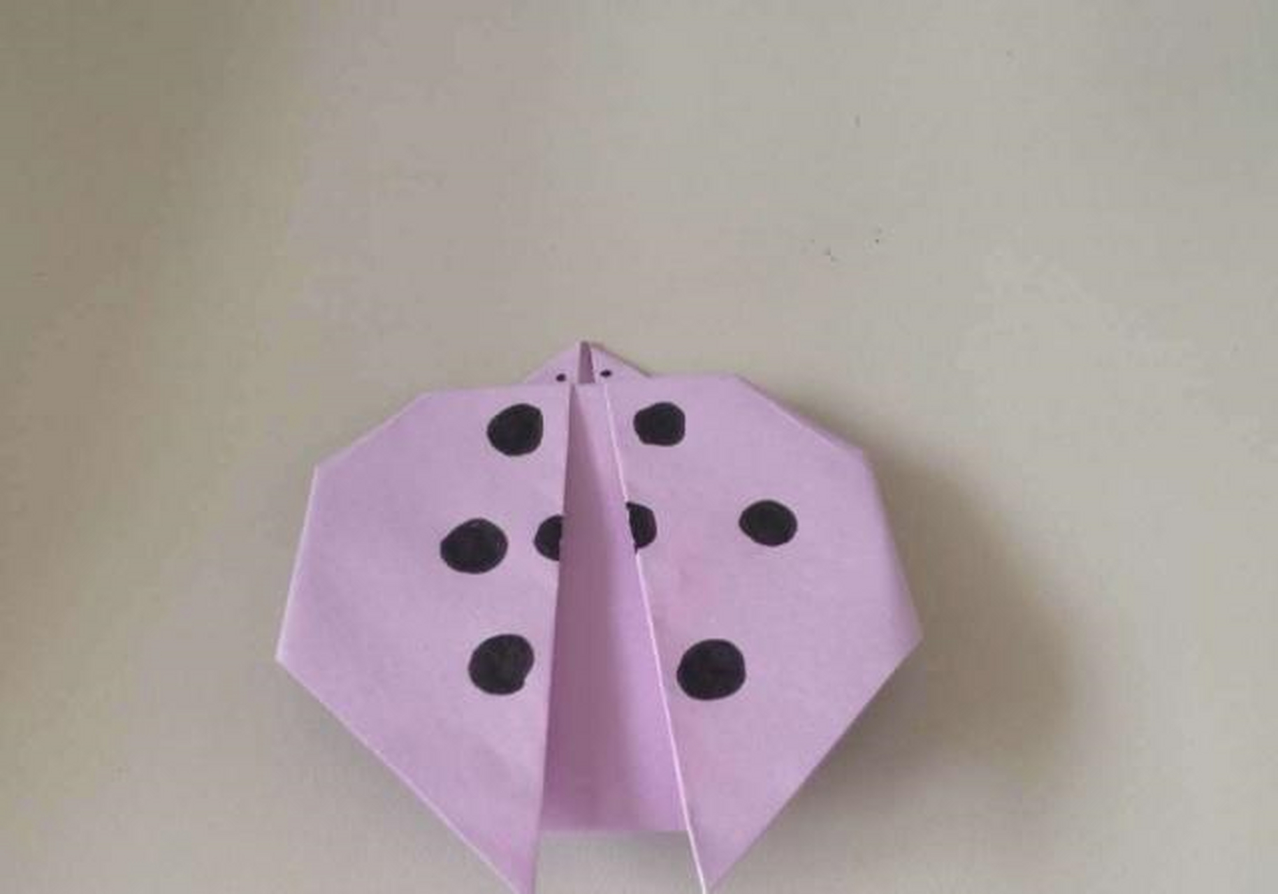 简单折纸,七星瓢虫的折纸图解