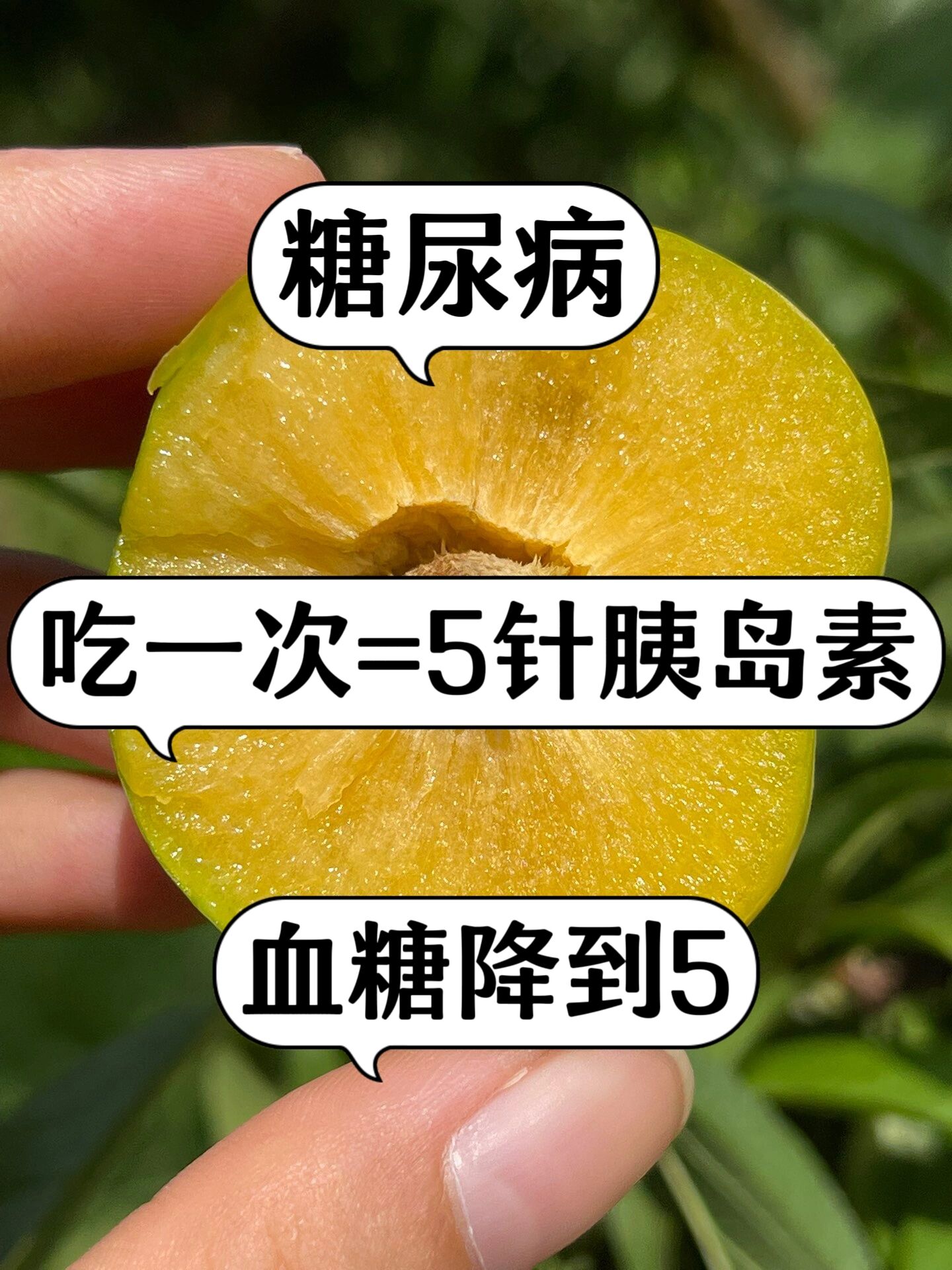 糖尿病不碰3糖尿病食物实物哈密瓜海报自带胰岛素的蔬菜有哪些
