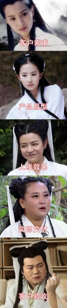 从客户需求到客户验收小龙女版完美诠释,岳大美人最魔性[笑哭]