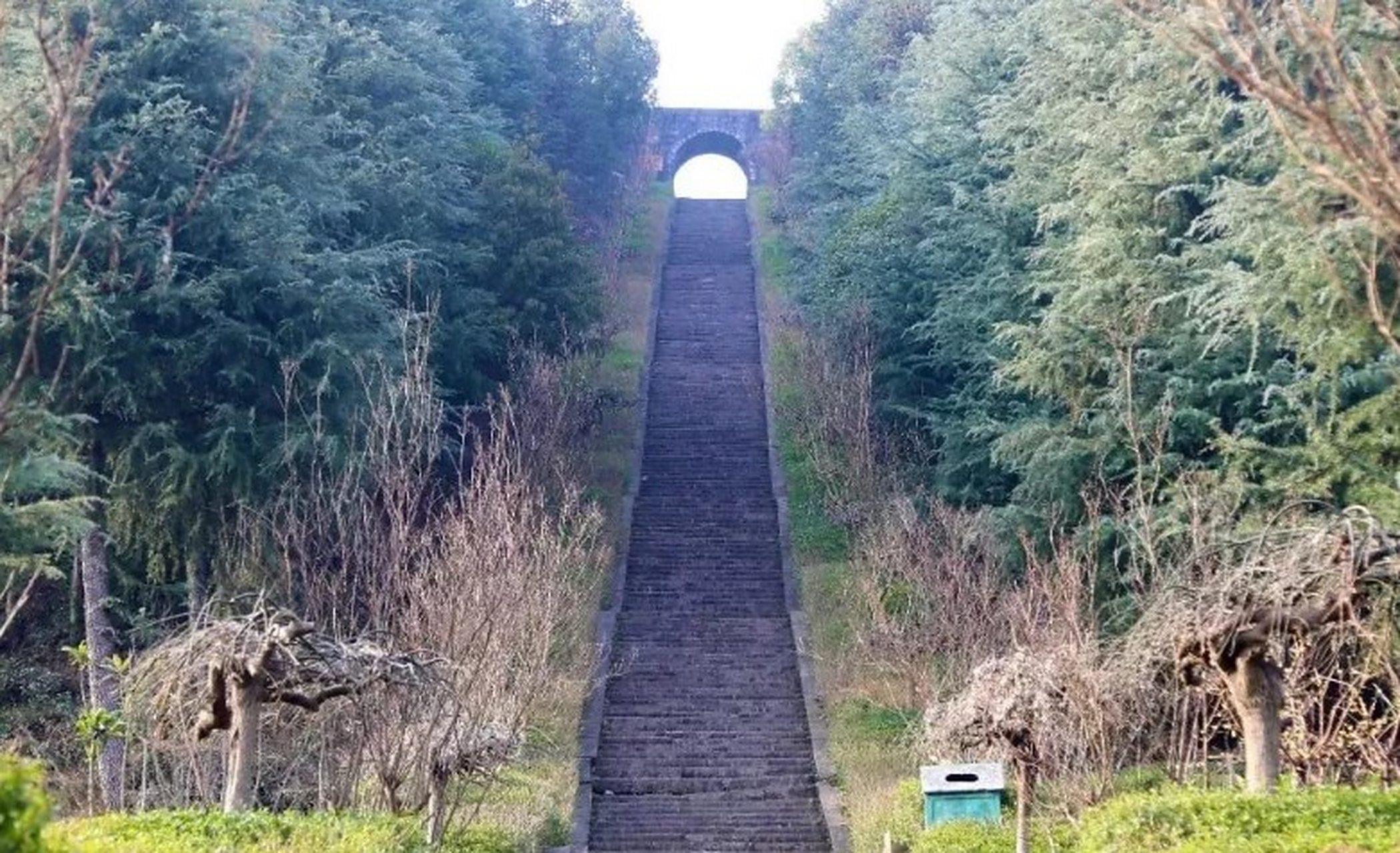 塔子山,位于万源市东南方向,植被资源丰富,自然景观优美,山高陡坡,沿