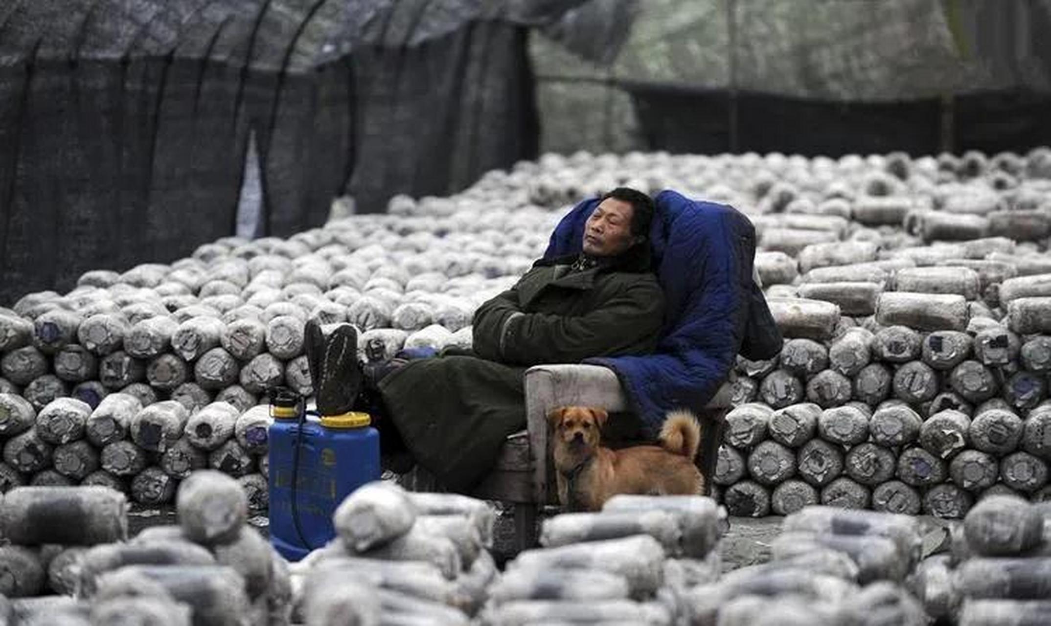 专家:中国人感觉累不是因为加班# 不仅中国人觉得累,整个亚洲的人活