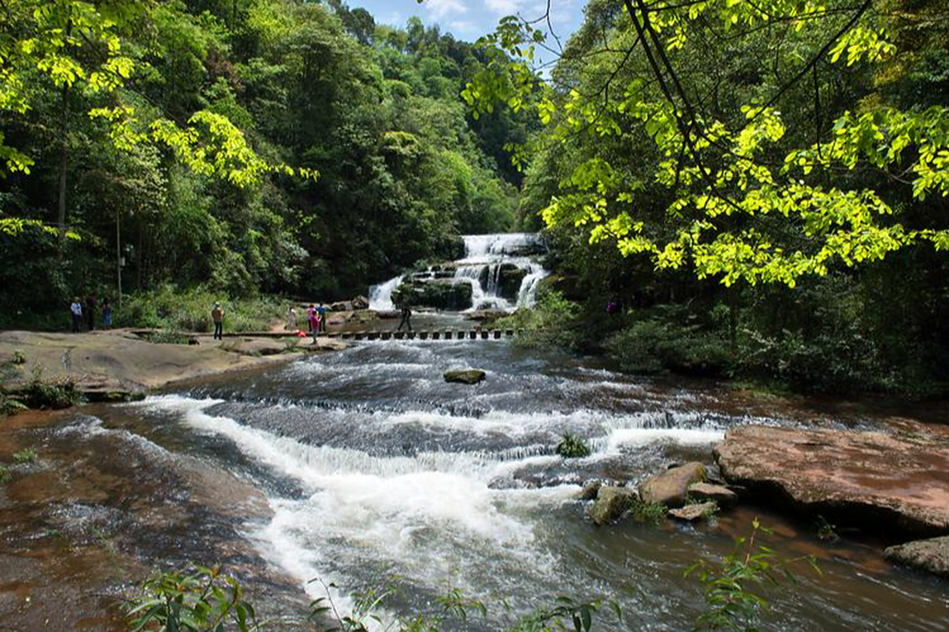 黄荆老林:位于泸州市古蔺县川黔两省交界处,集瀑布群落,原始-,高山