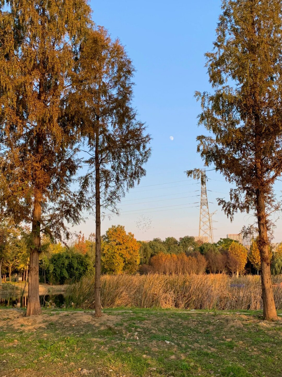 当我走进张毕湖公园,我不禁惊叹这真是一个隐藏的宝藏!