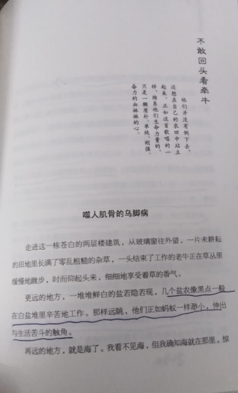 林清玄的散文《噬人肌骨的乌脚病》台湾地区有一种怪病叫乌脚病.