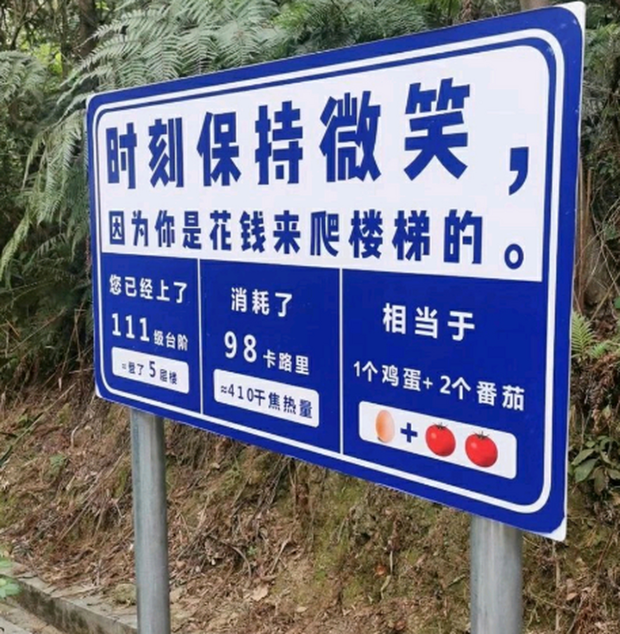 我发誓,我再也不去爬山了,连路牌都在嘲讽我