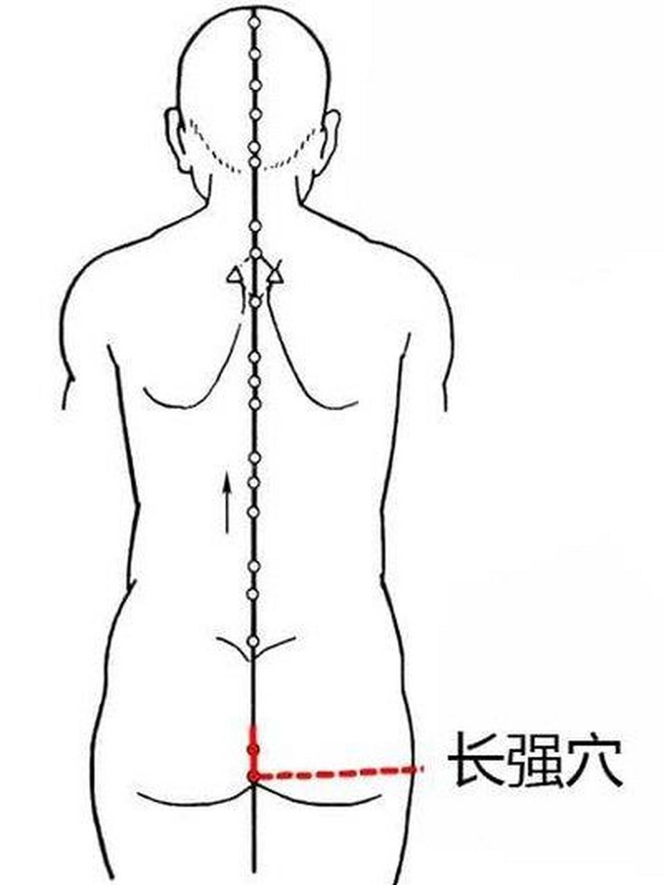 按摩長強穴治療痔瘡 【位置】: 長強穴在尾骨尖端下,尾骨尖端與肛門