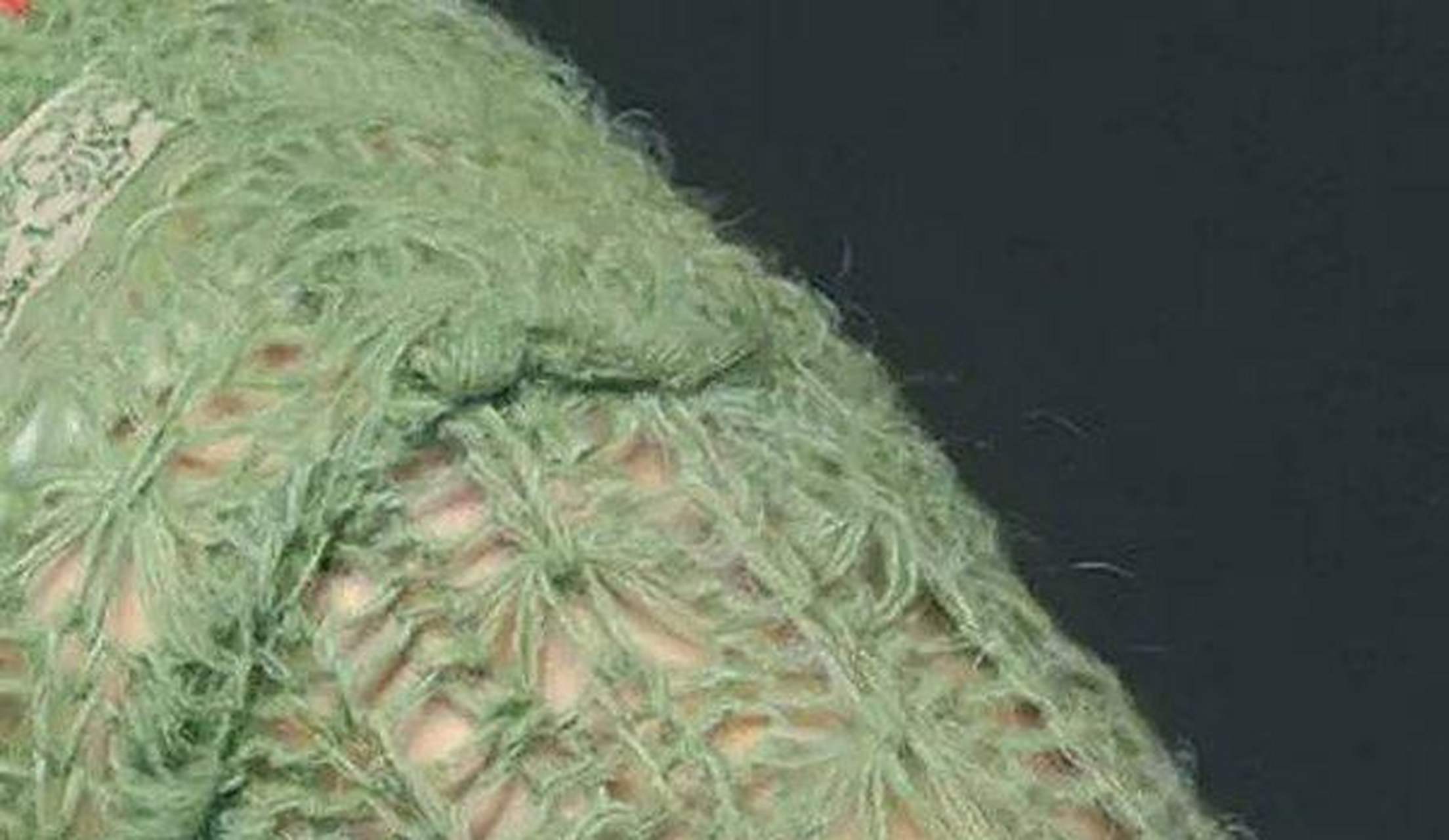 这是中国画家冷军的作品.