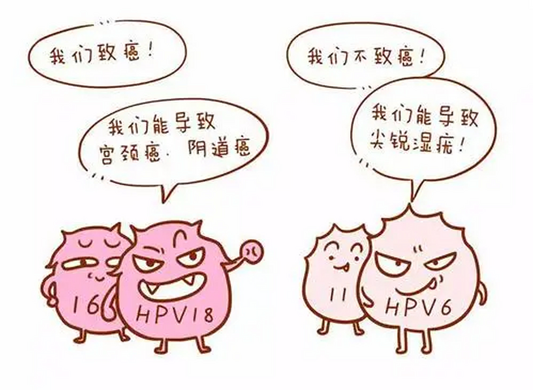 hpv11是高危还是低危 hpv病毒是人类乳头瘤病毒的缩写,是一种乳多空