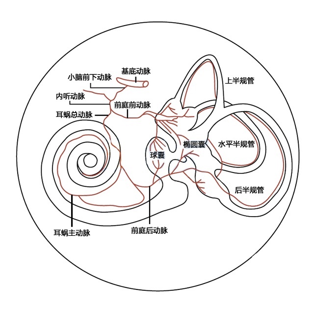 只要是梅尼埃眩晕,这6件事绝不能碰,否则你会苦不堪言