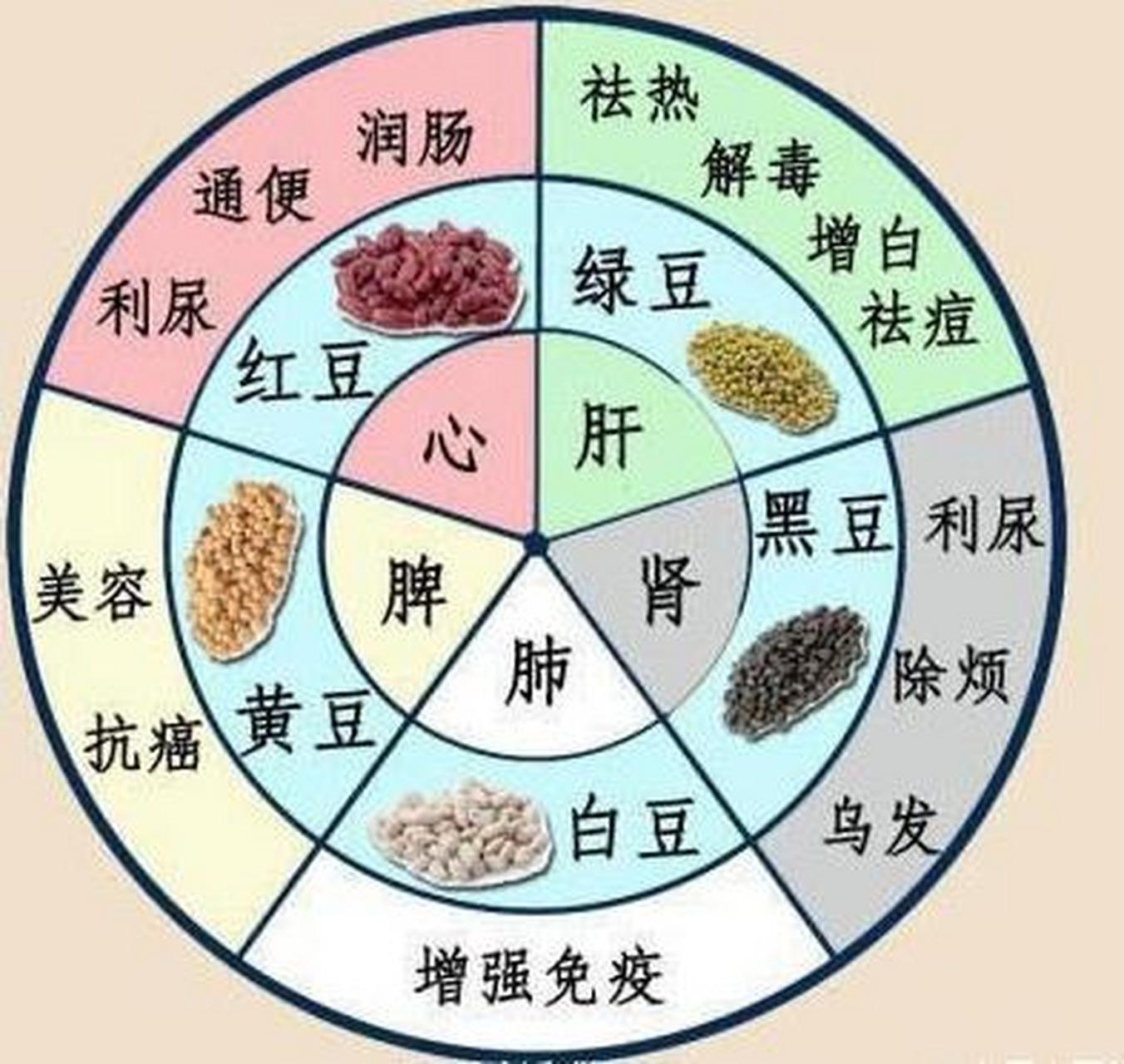 食物中的五行分别是哪五项【食物五行属性一览表】